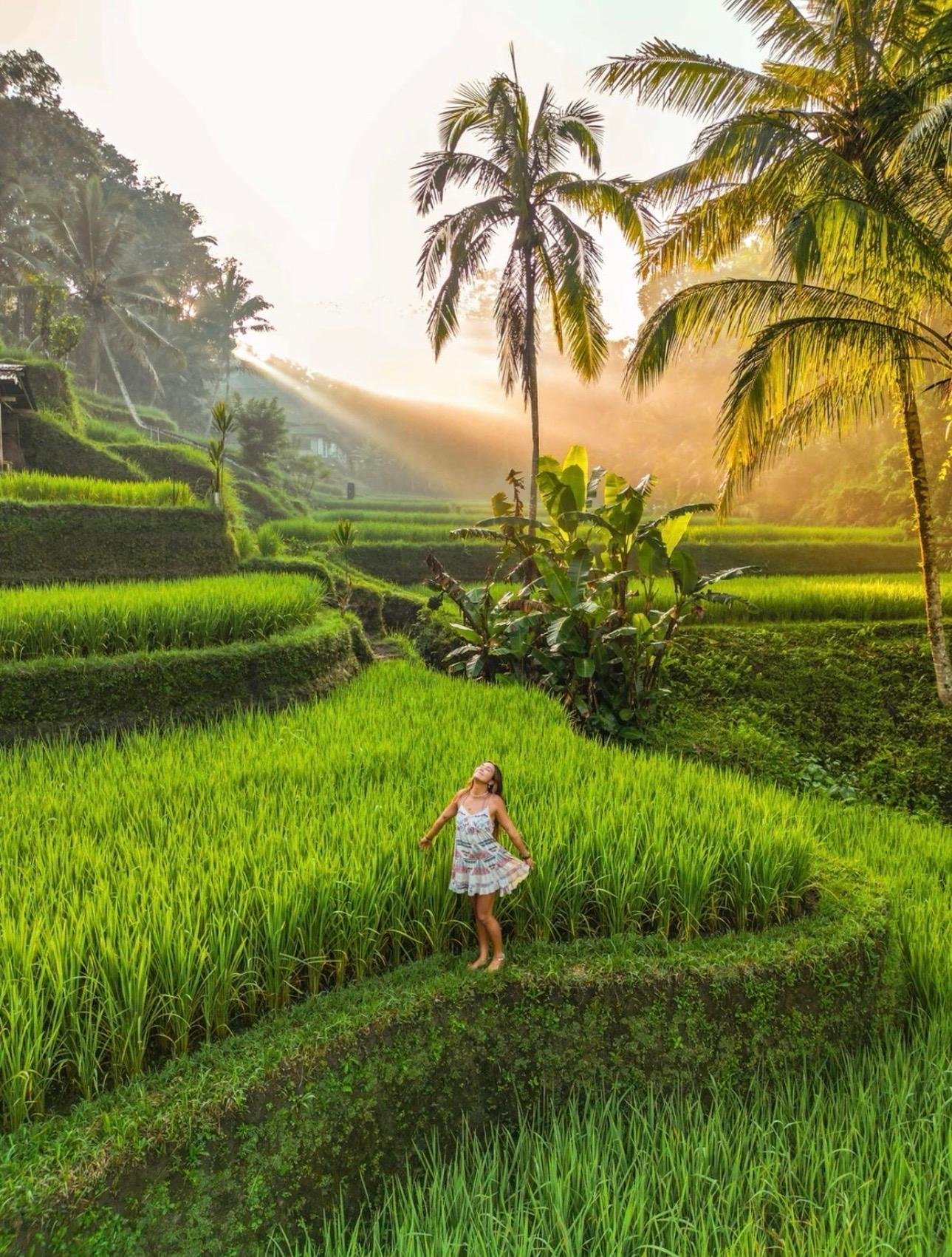 Bali Private Mount Batur Jeep Sunrise Experience