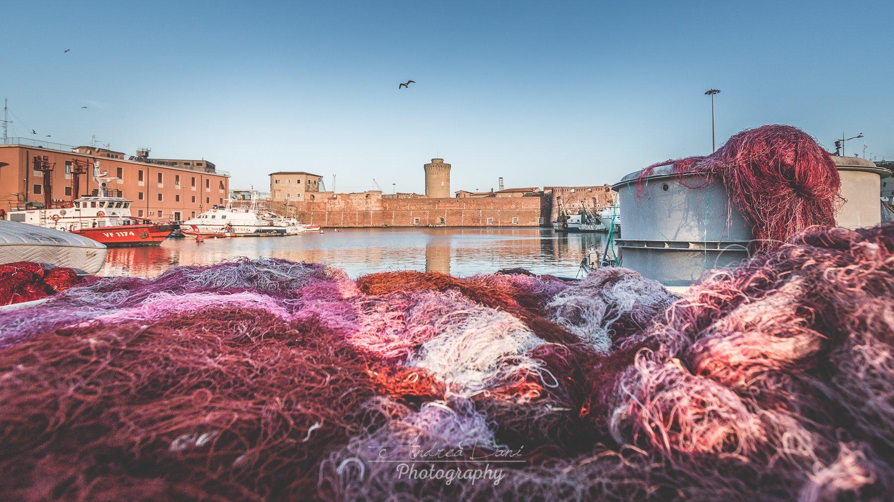 Bolgheri Wine & Coastal Tuscany Day Trip from Livorno