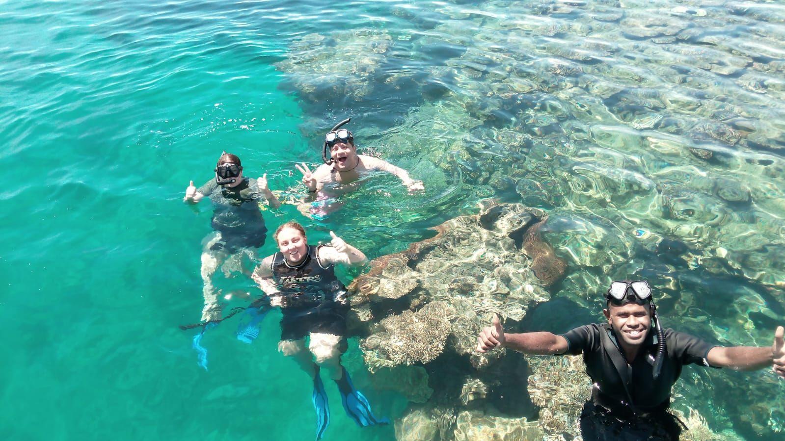 Mamanuca Islands Snorkeling & Wildlife Sanctuary Tour