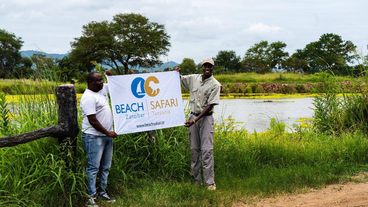Zanzibar to Mikumi: Fly-In Safari Day Trip with Bush Lunch