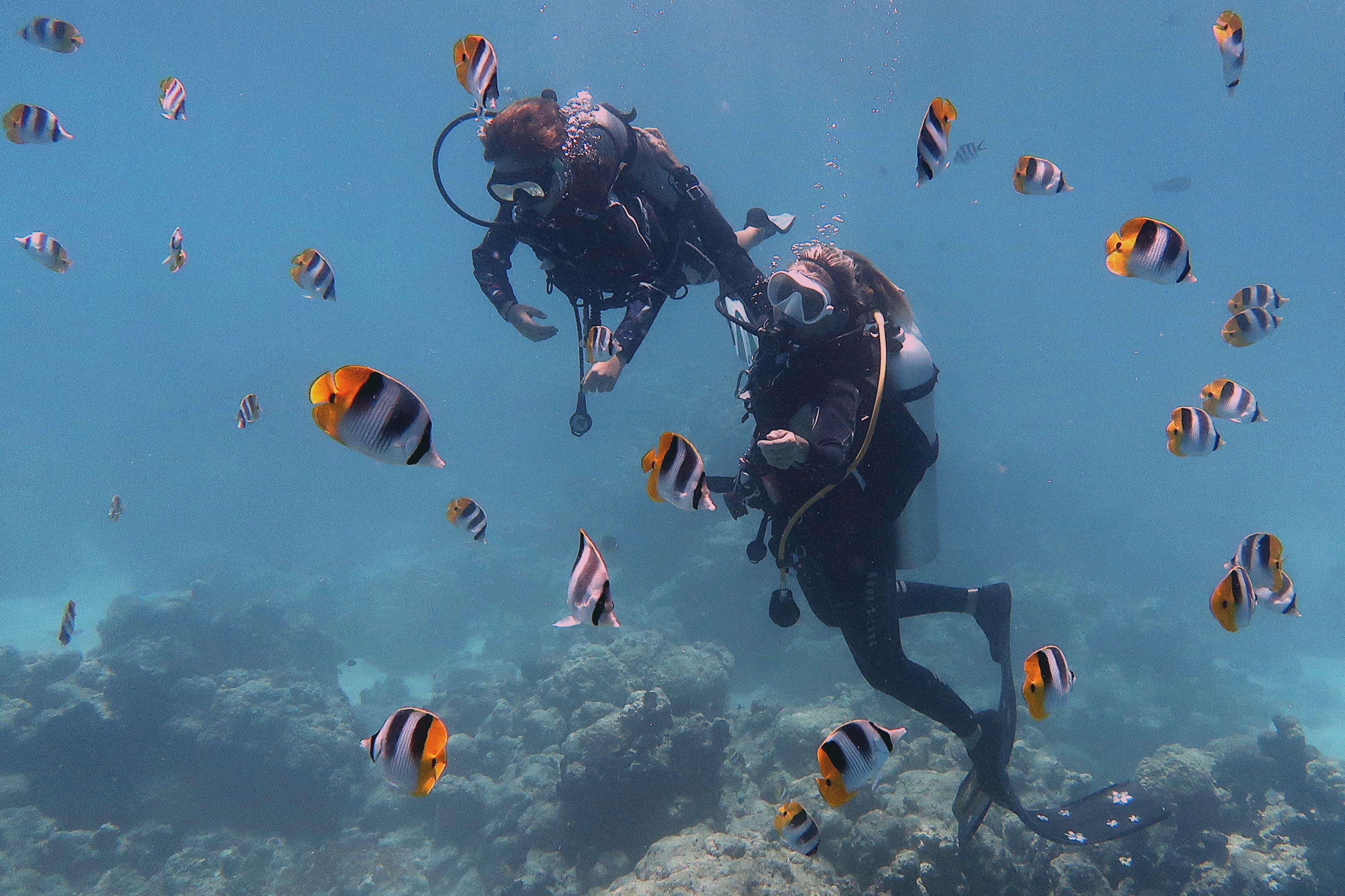 Beginner Scuba Dive at Rangiroa's Aquarium Site