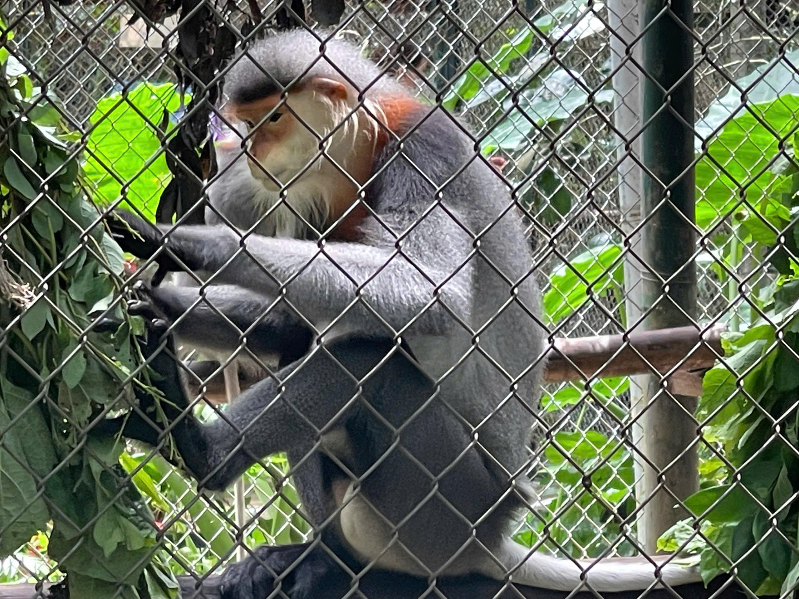 Cuc Phuong National Park: Jungle Trek & Wildlife Day Trip from Ninh Binh