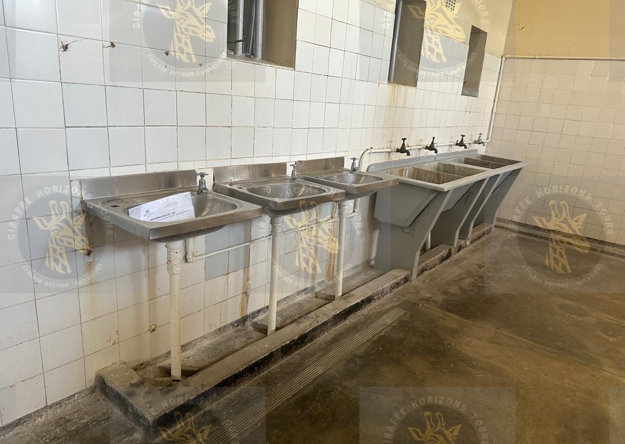 Robben Island Ferry, Prison & Guided Tour from Cape Town