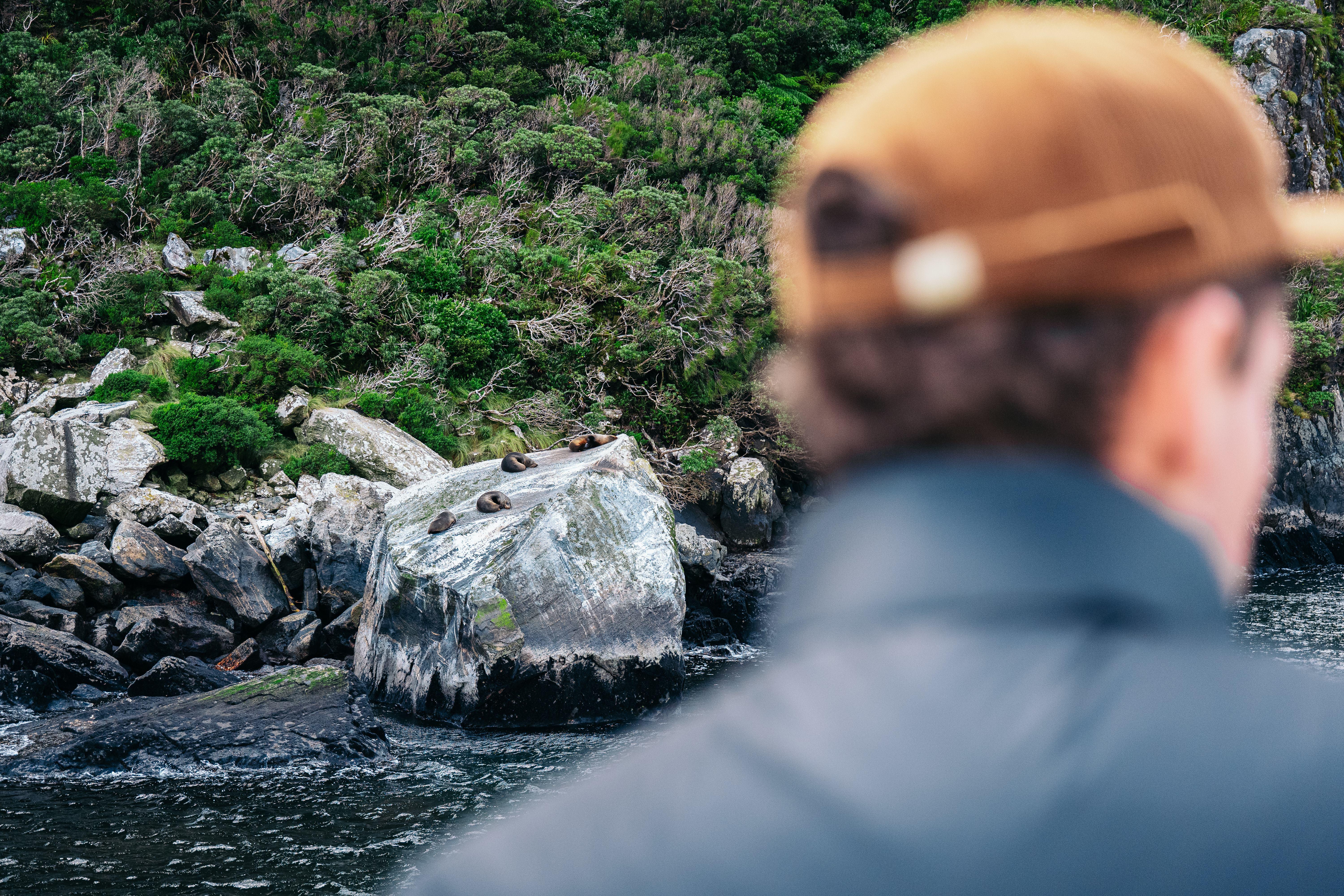 Queenstown to Milford Sound: Full-Day Coach & Cruise