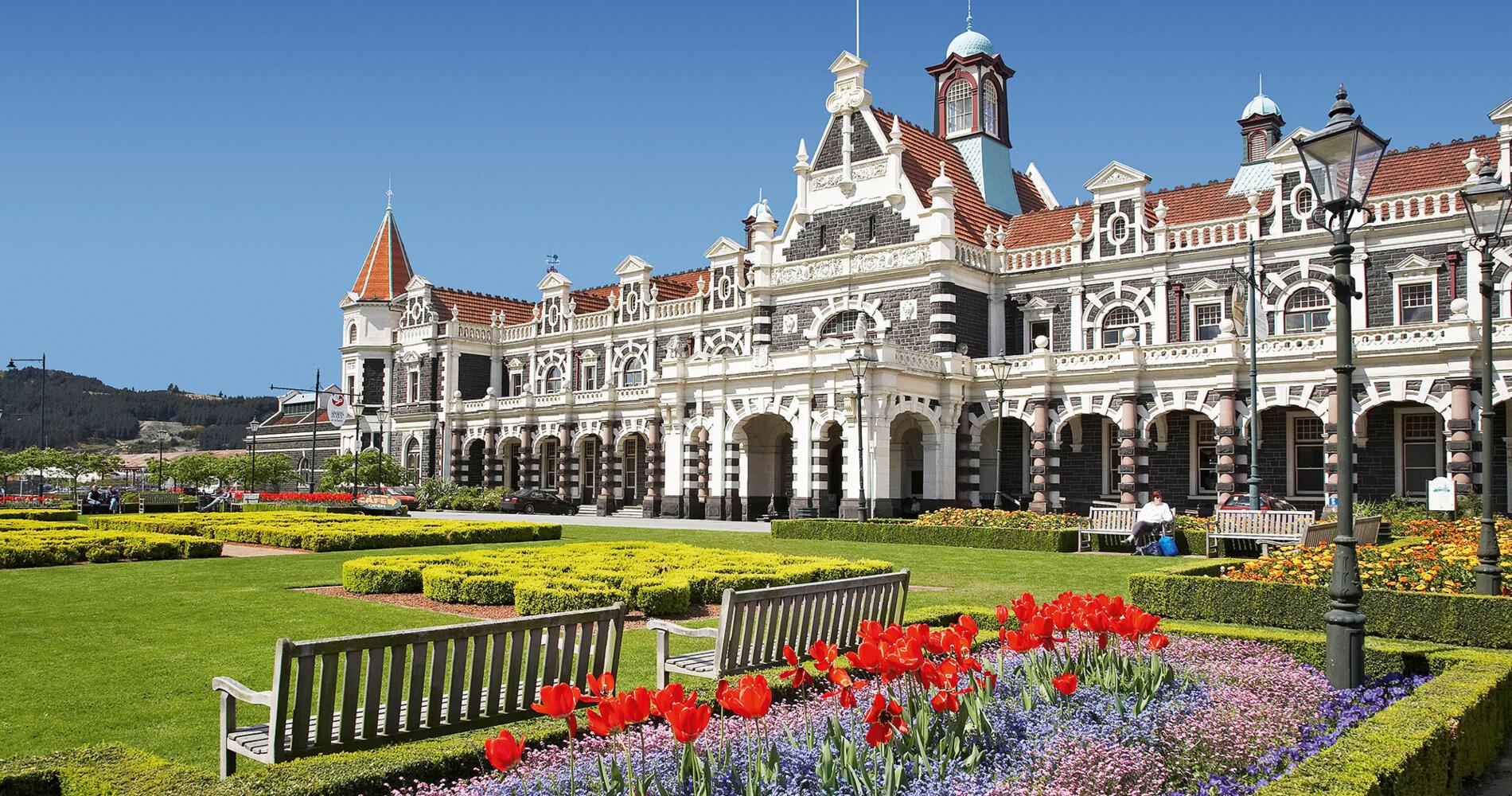 Guided Dunedin City & Peninsula Small Group Tour (Max 10)