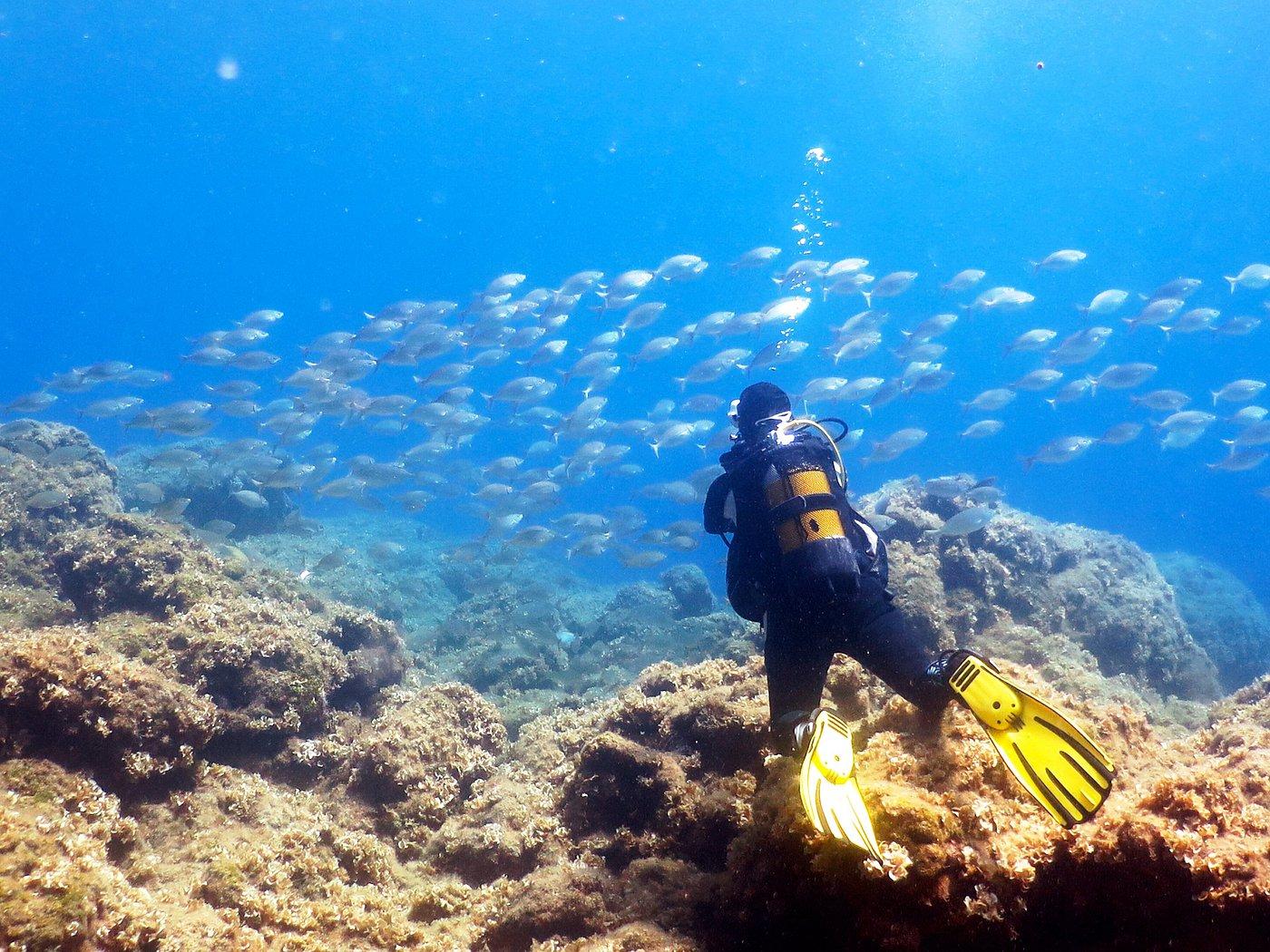 Kolymbia Scuba Diving Experience for All Skill Levels