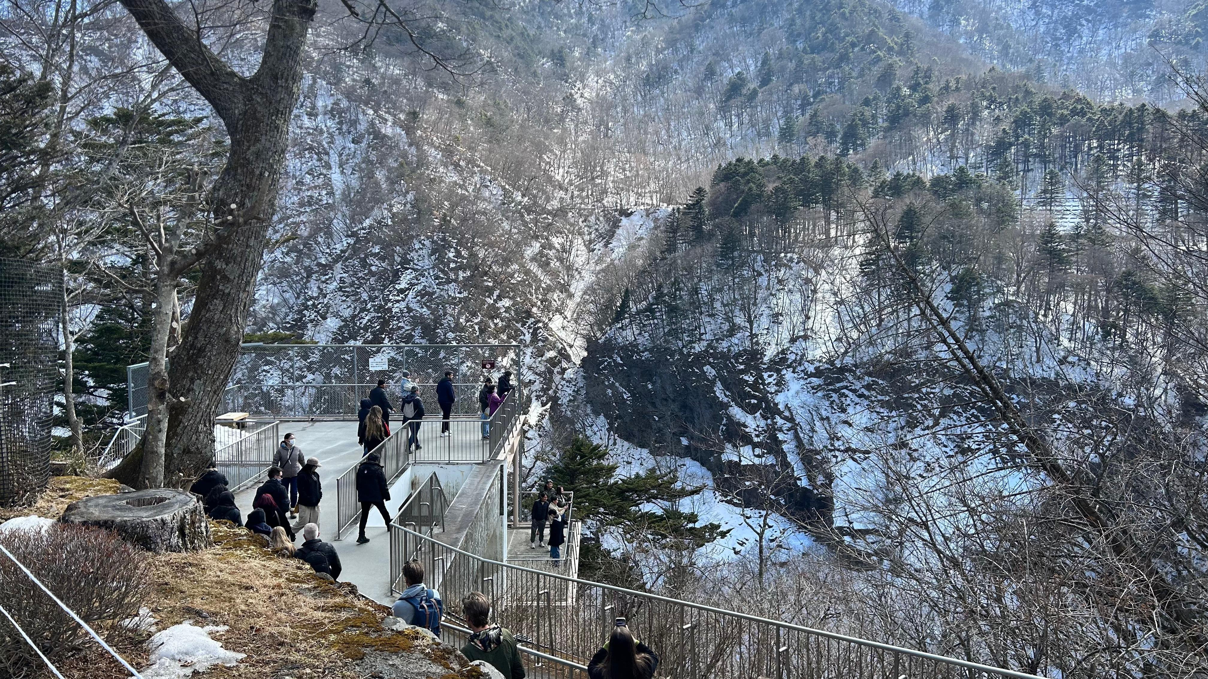 Nikko Day Trip: Toshogu Shrine, Kegon Falls & Lake Chuzenji from Tokyo