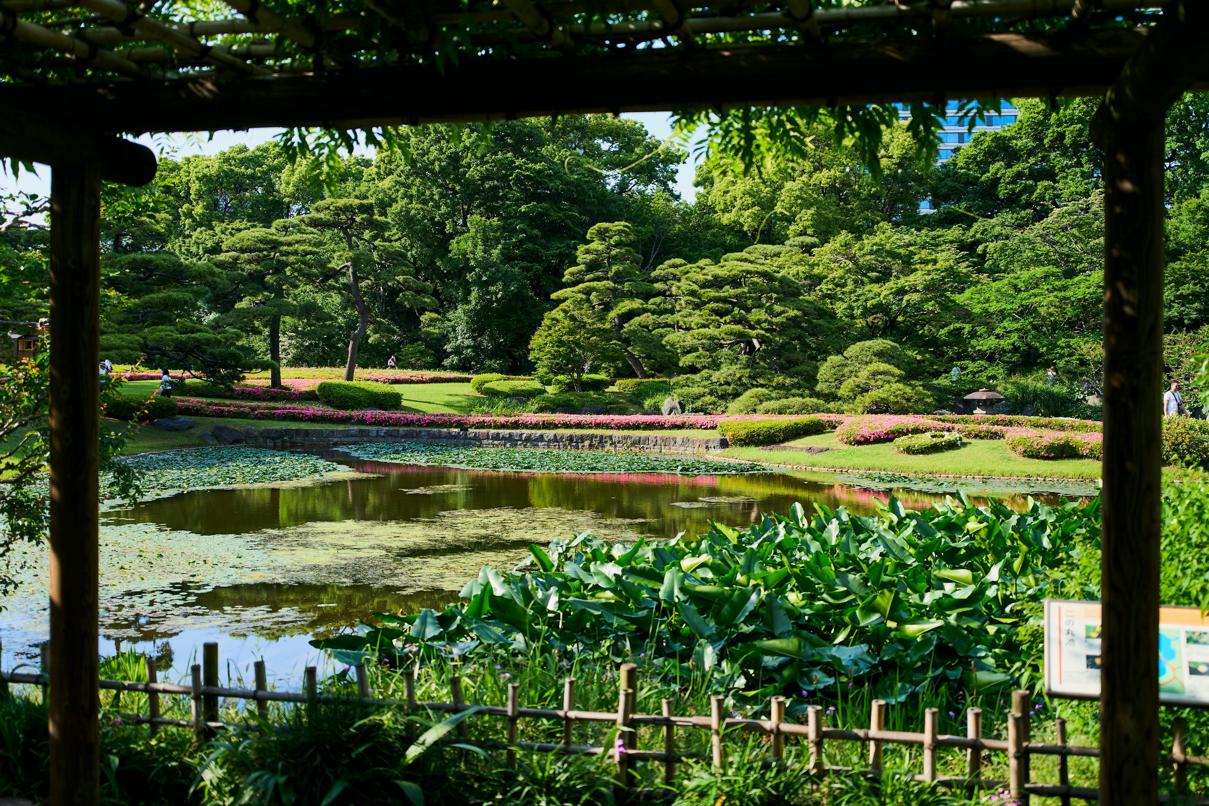 Edo Castle & Imperial Palace Shogun Walking Tour