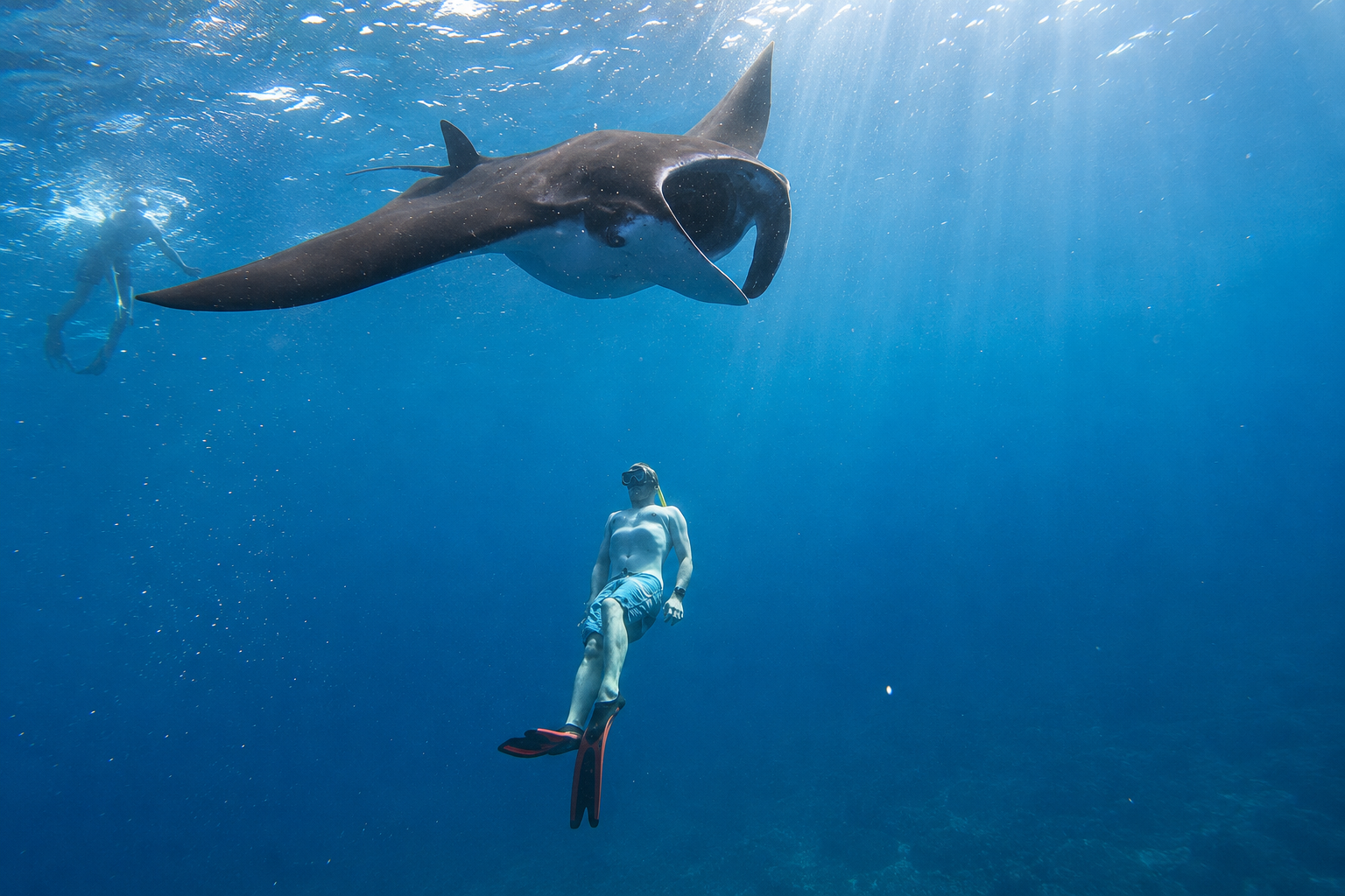 Nusa Penida Manta Ray Snorkeling & West Coast Discovery