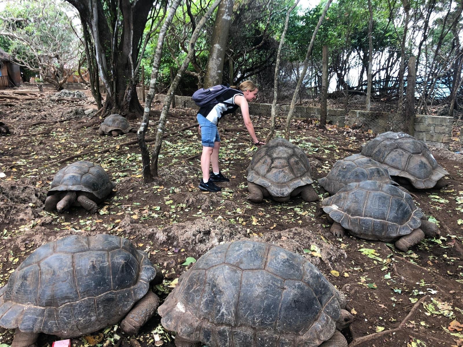 Zanzibar All-in-One: Prison Island, Stone Town & Spice Farm