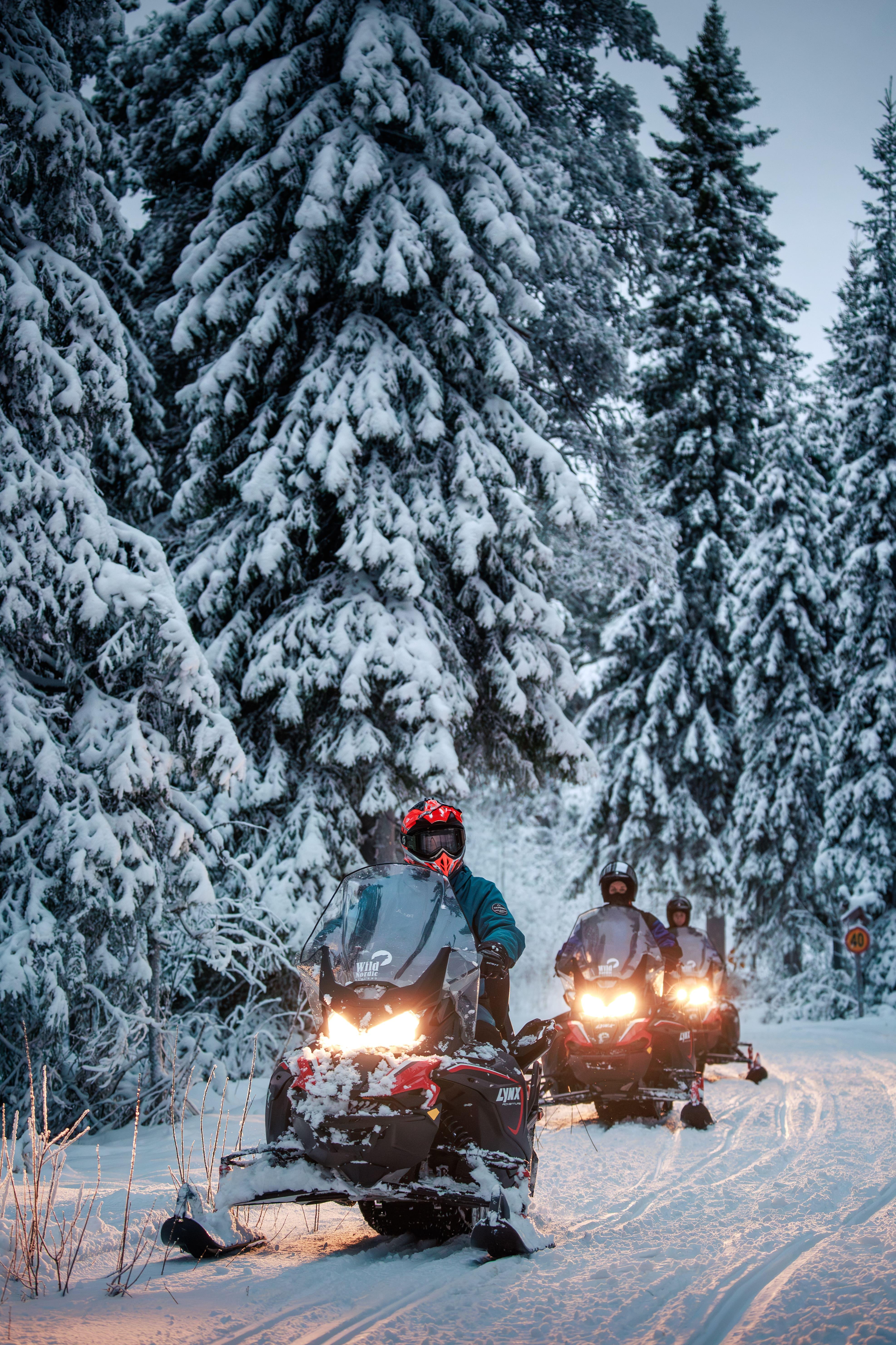Rovaniemi Arctic Forest Snowmobile Safari