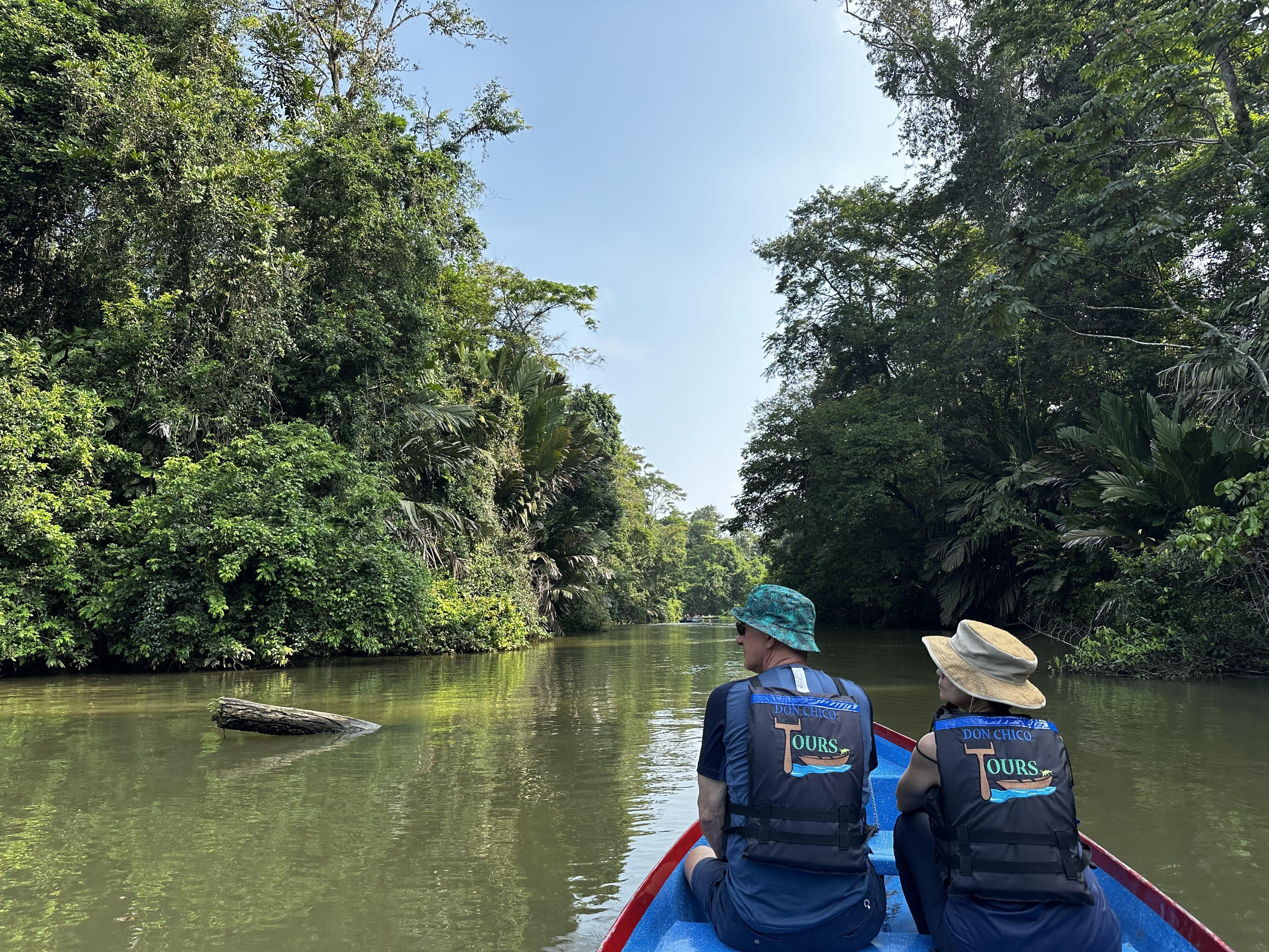 Tortuguero Canal Wildlife Boat Tour