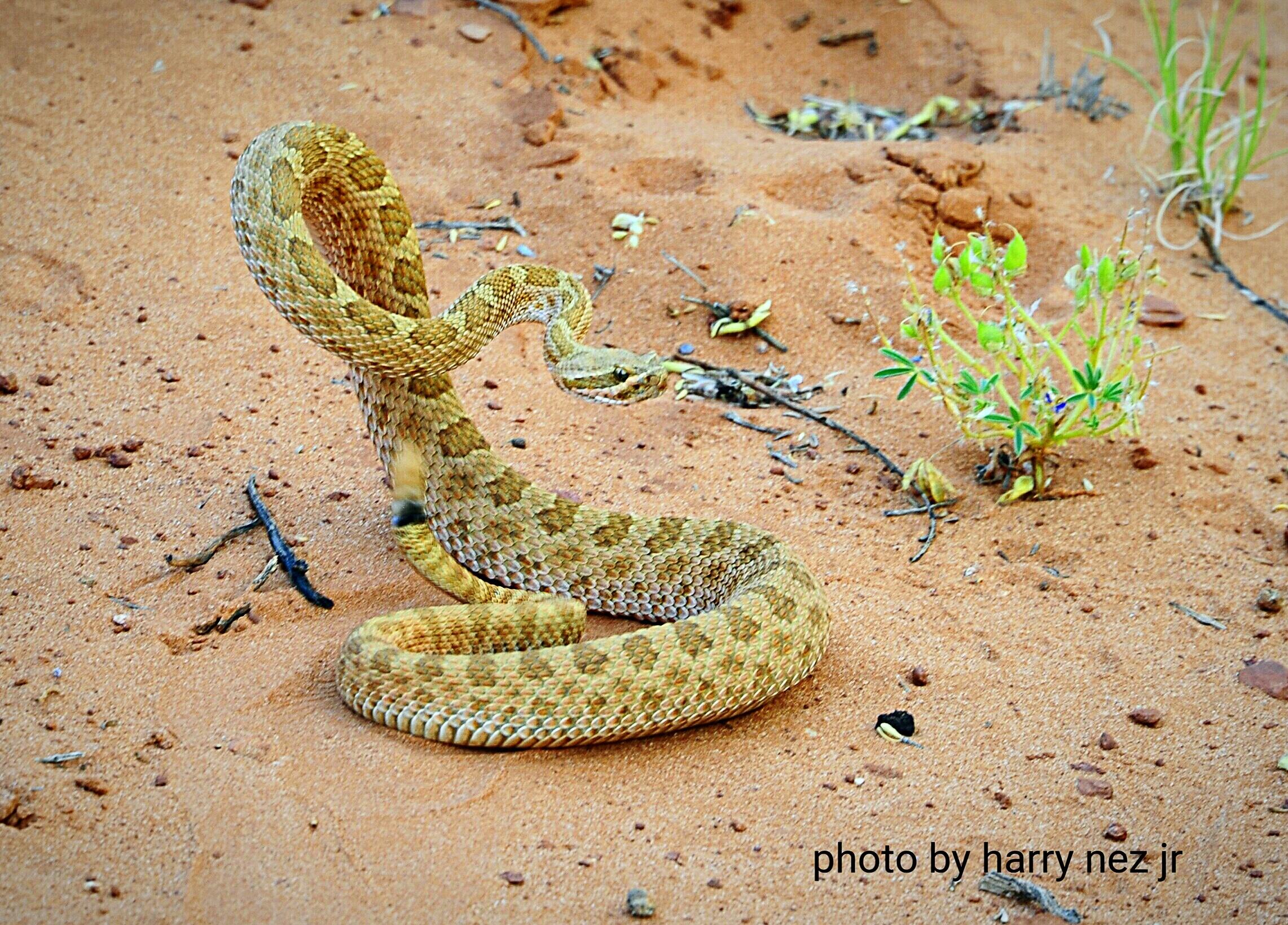 Monument Valley: 3.5-Hour Cultural Backcountry Expedition