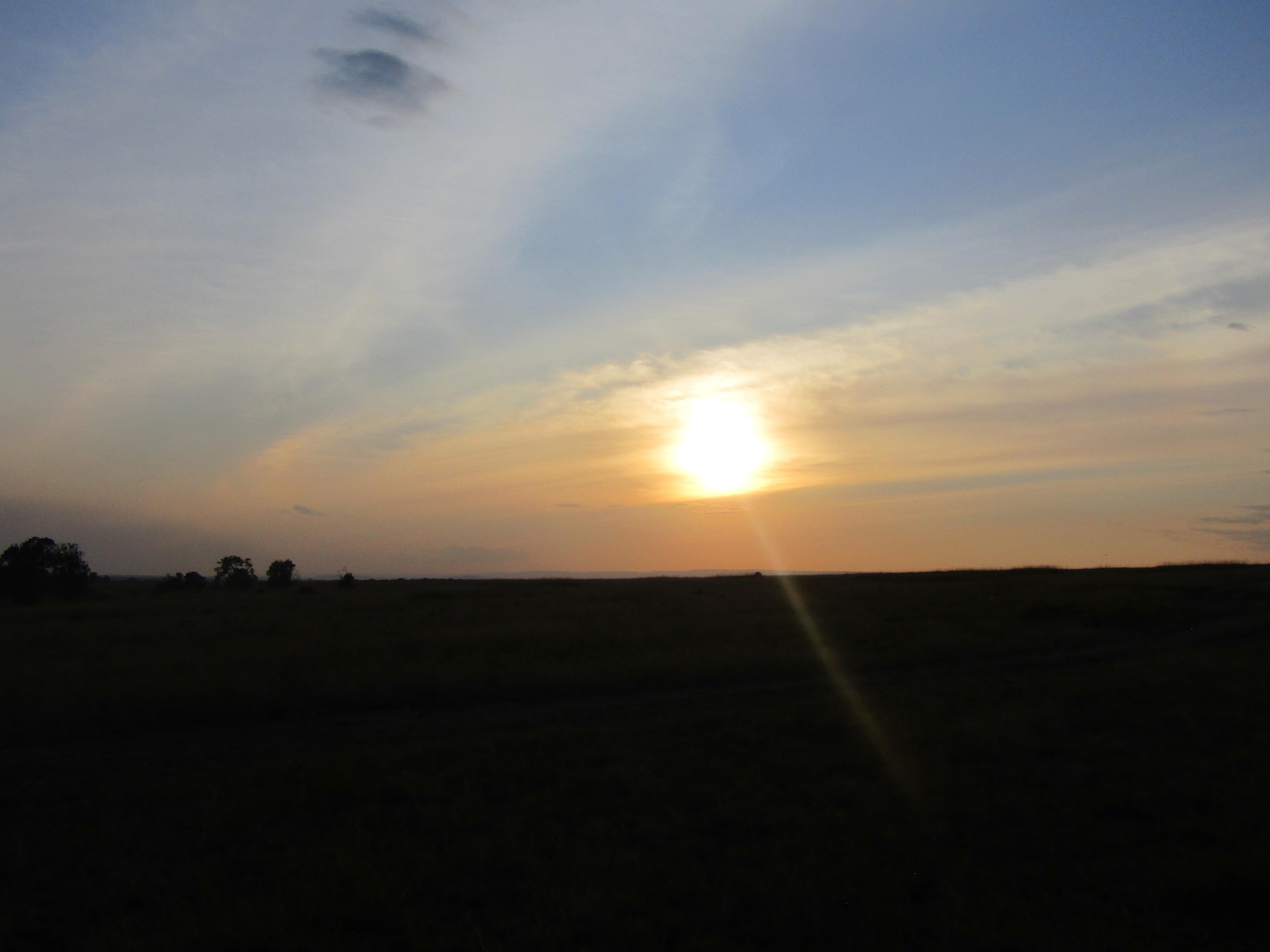 3-Day Masai Mara Safari Adventure from Nairobi