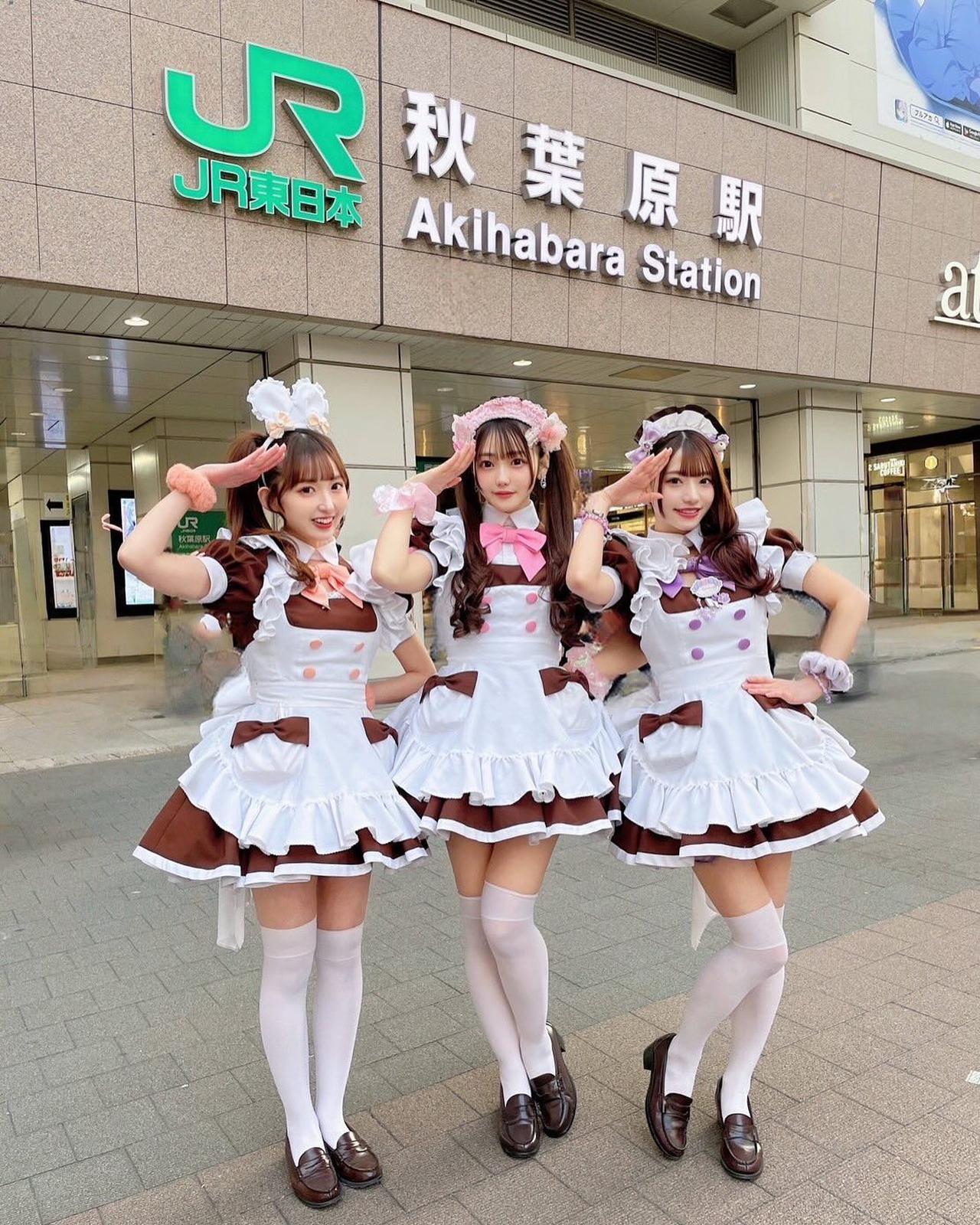 Akihabara Anime & Manga Walking Tour with Nakano Broadway