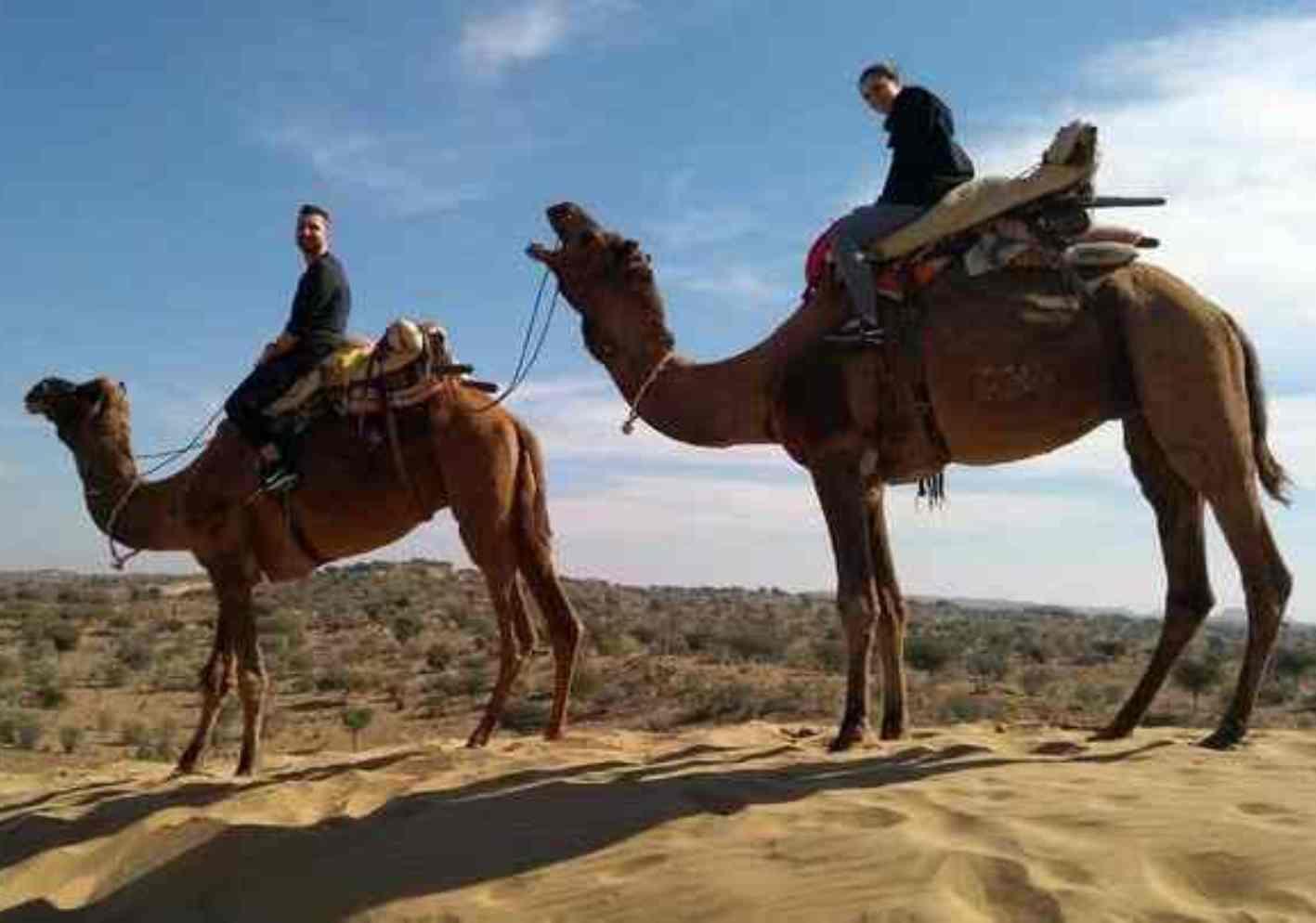 Jodhpur City Highlights & Thar Desert Camel Safari