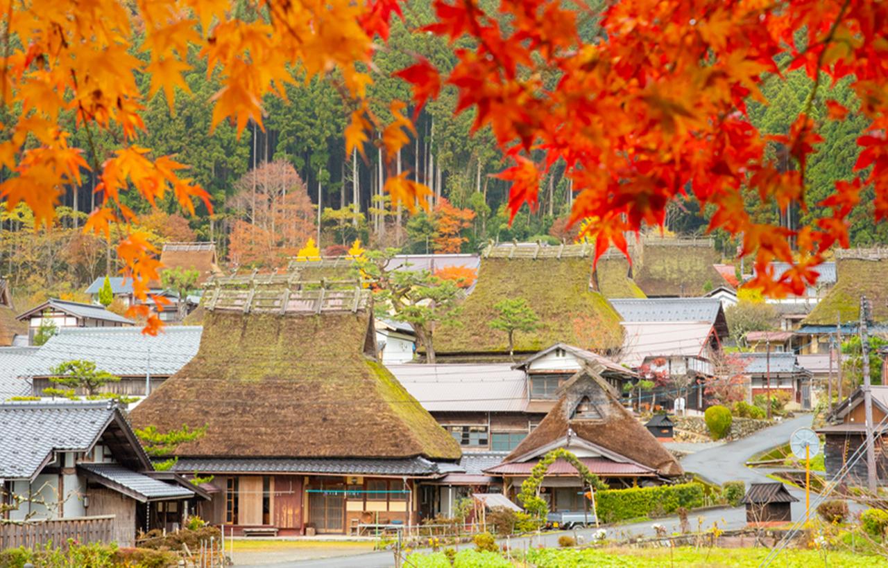 Kyoto Countryside Explorer: Ine, Amanohashidate & Miyama