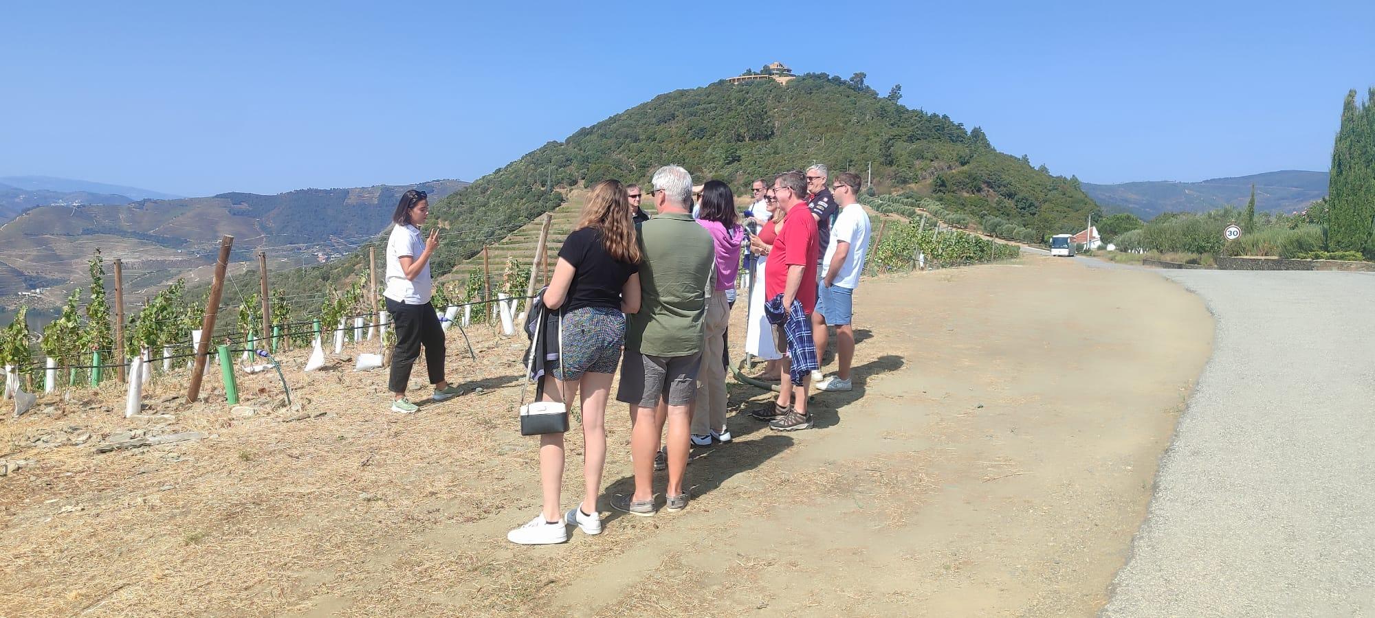 Douro Valley Full-Day Tour: Boat Ride, Twin Winery Tastings & Lunch