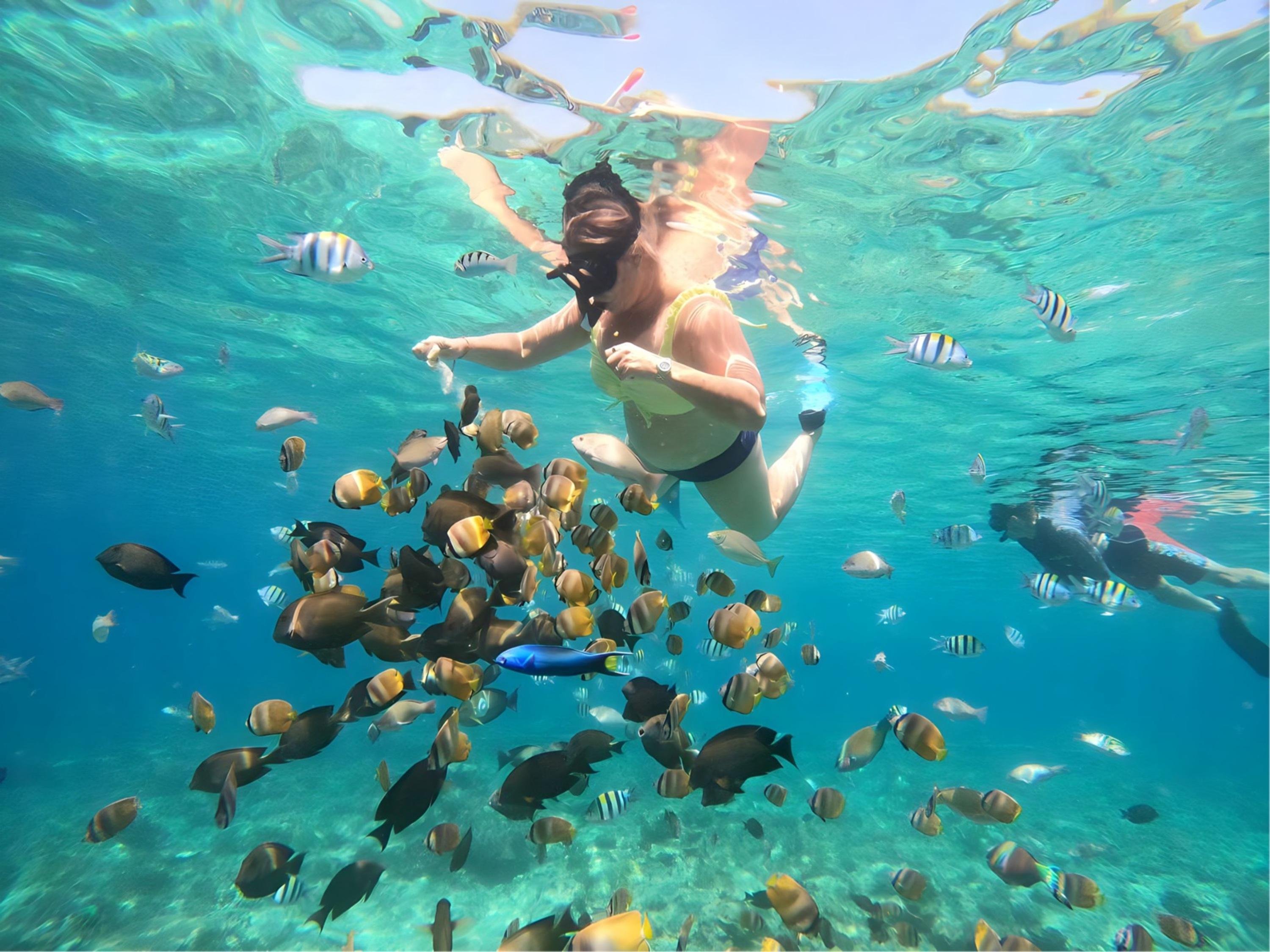 Private Snorkeling Adventure to Three Gili Islands