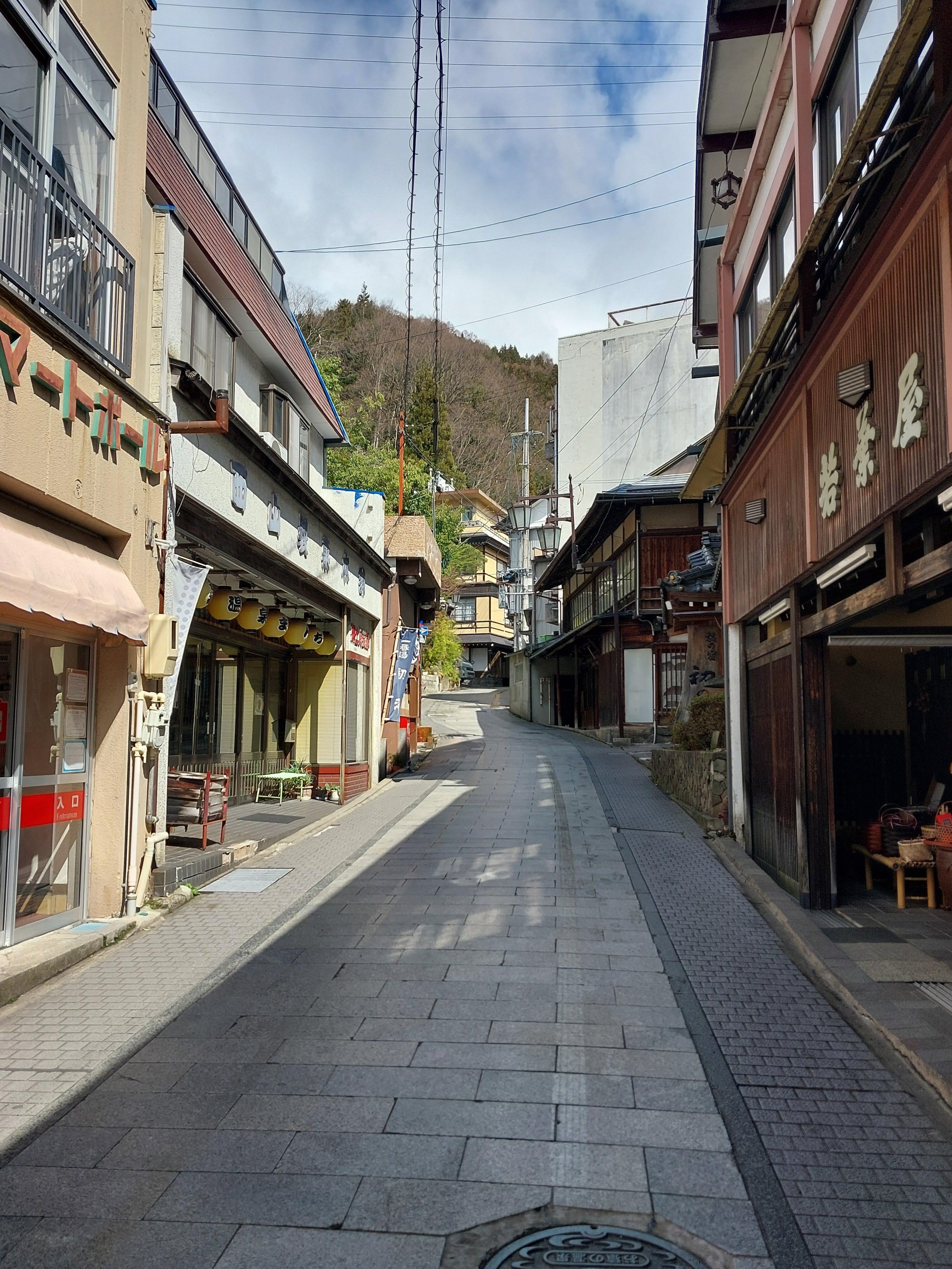 Nagano Snow Monkeys, Soba & Shibu Onsen Half-Day Tour