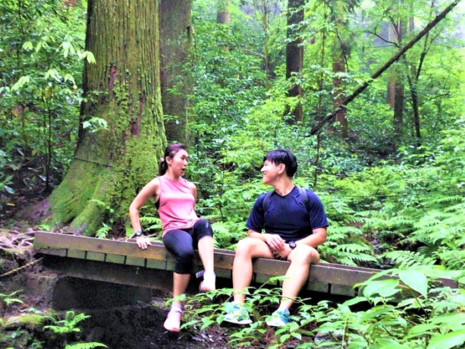 Mt. Takao Day Trek: Shrine Walk, Hot Spring & Local Feast