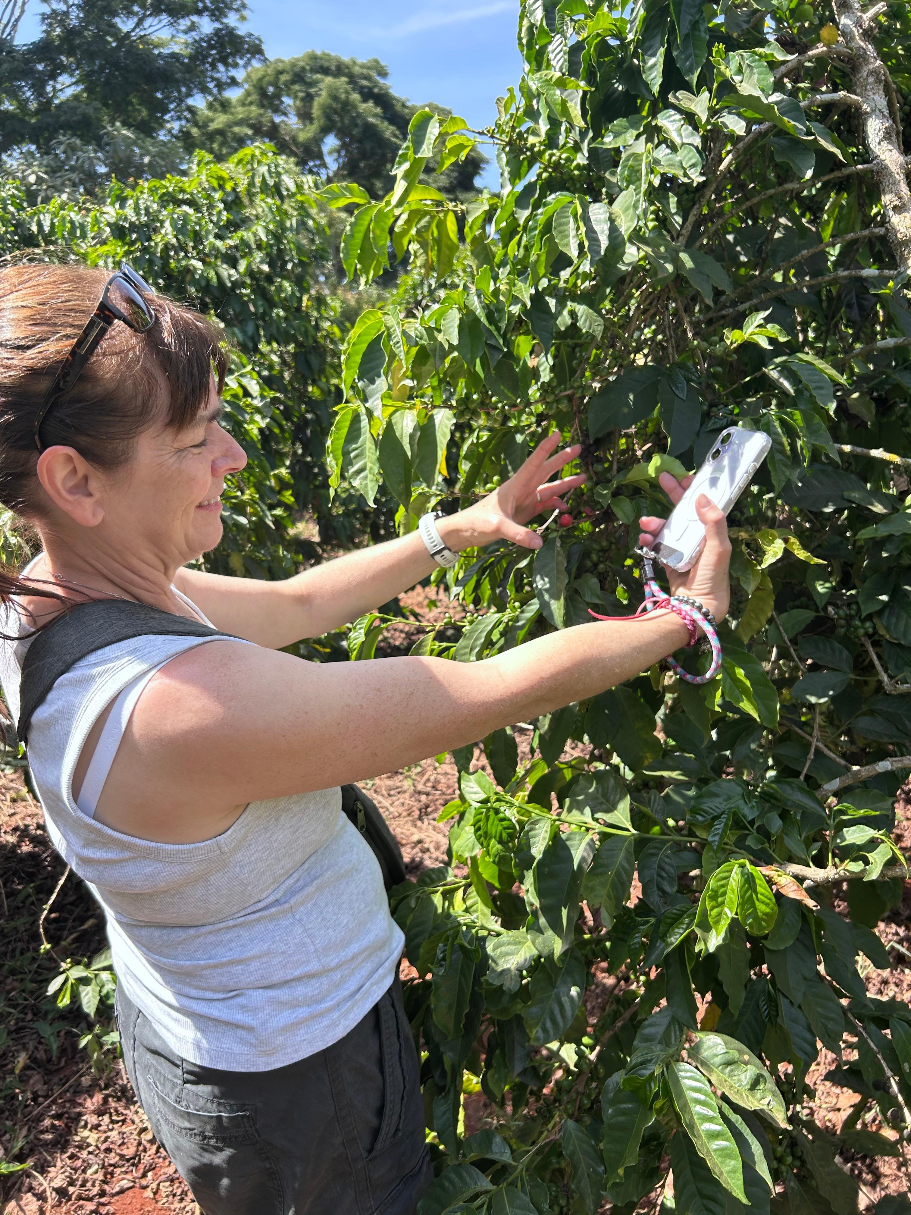 Nairobi Coffee Farm Experience with Tasting