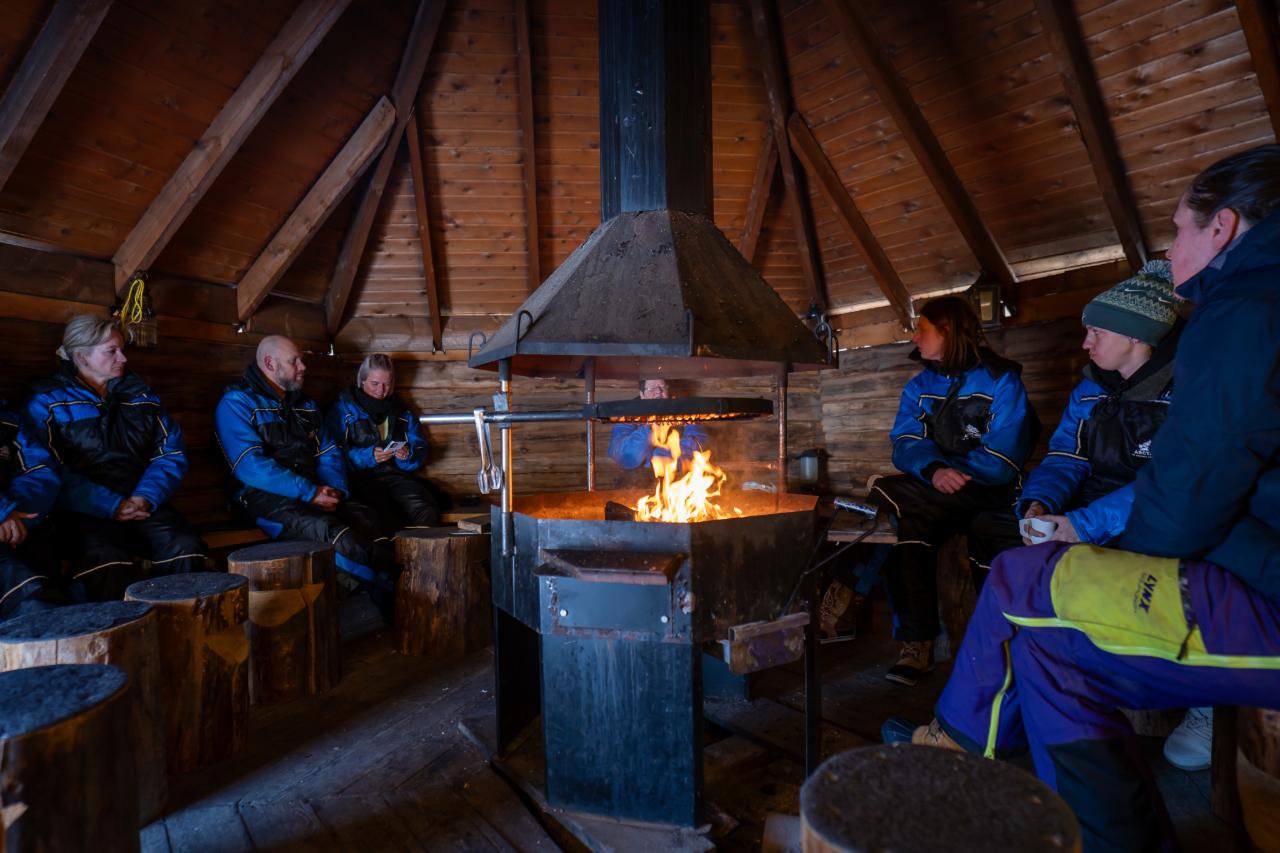 Rovaniemi Husky Safari: Drive Your Own Team & Lapland BBQ