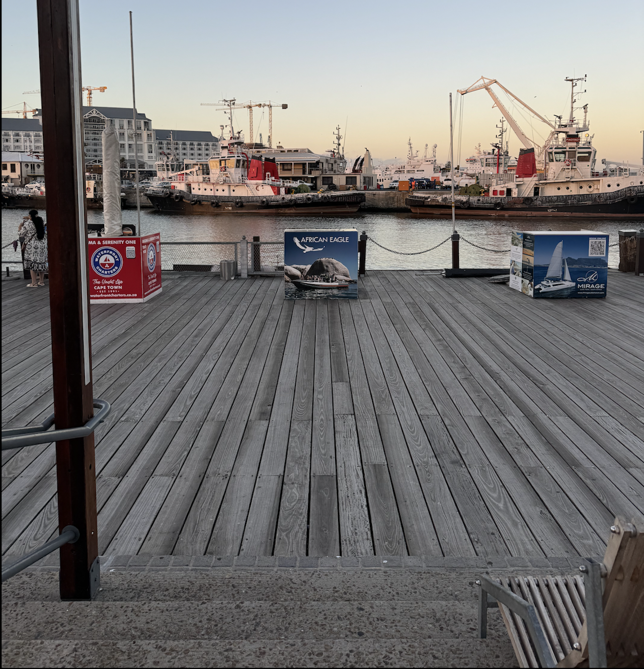 Cape Town Table Bay Marine Wildlife Eco-Cruise