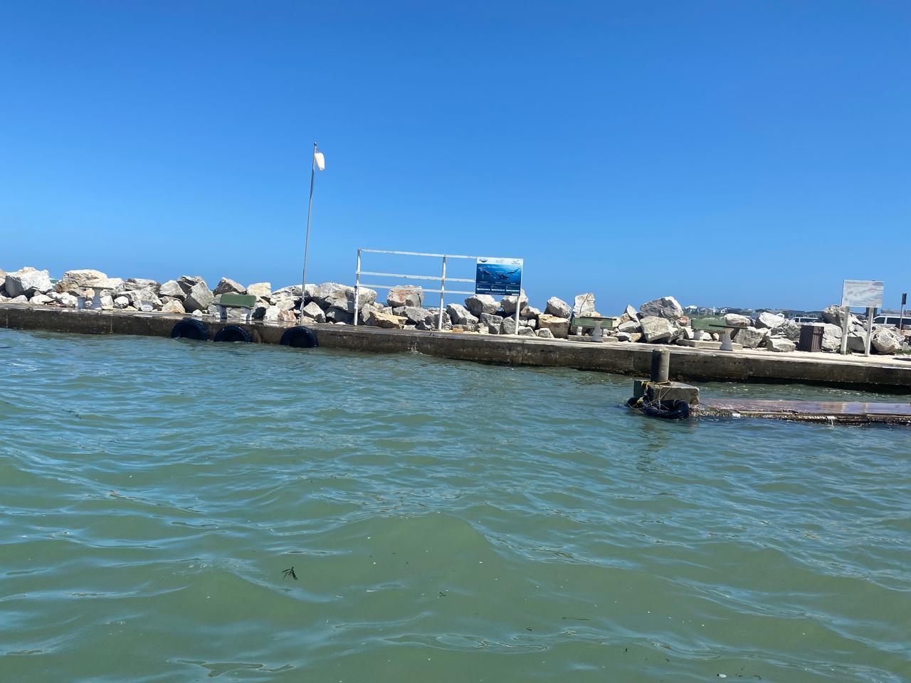 Private Shark Cage Diving Day Tour from Cape Town