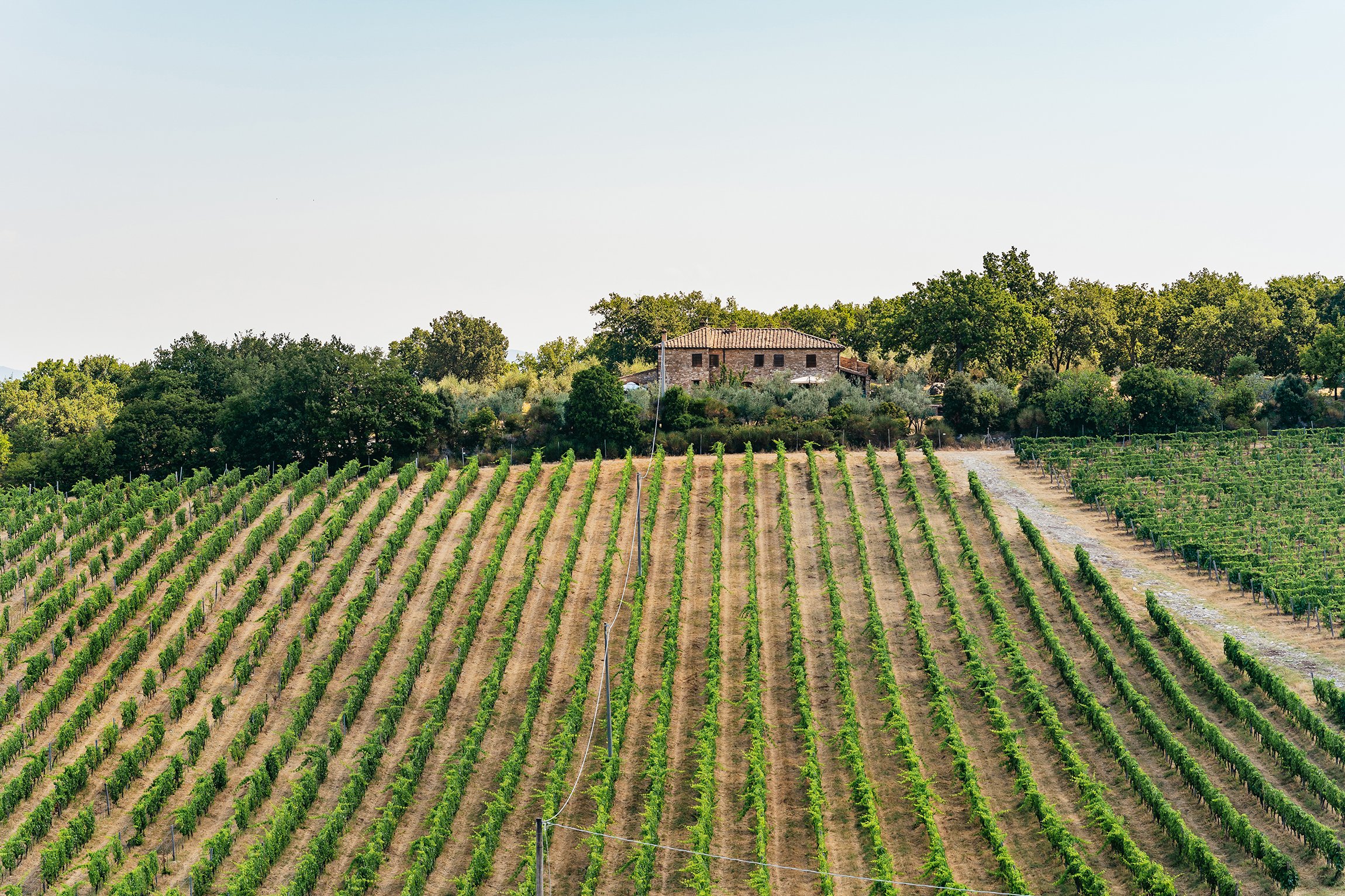 wine tour in Tuscany — photo 4