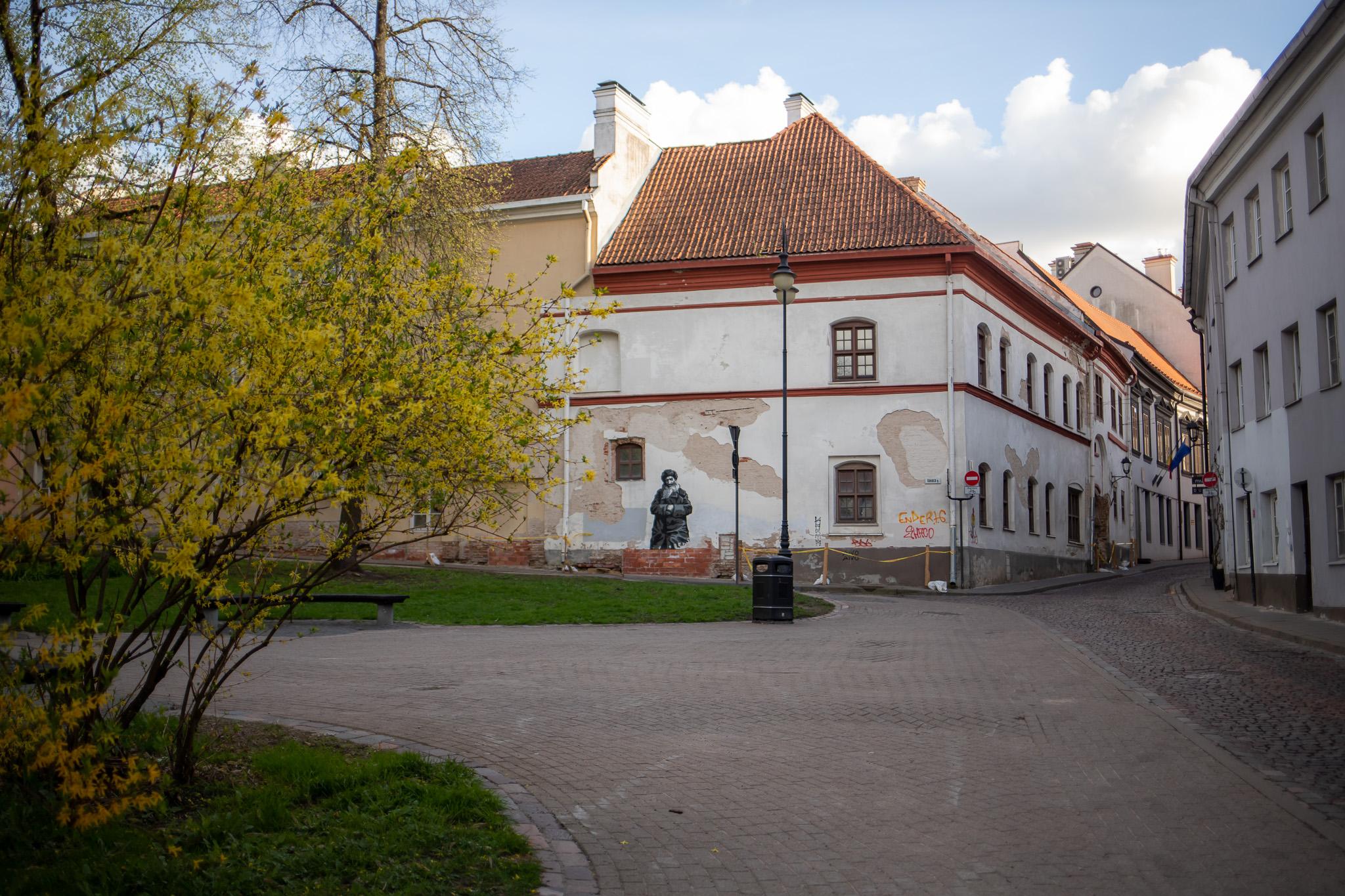 Jewish Vilnius Walking Tour with Local Guide