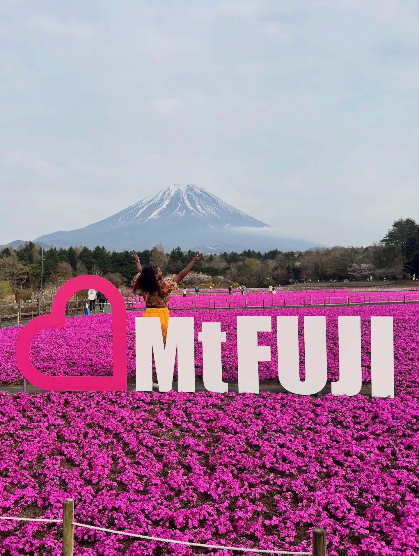 Shibazakura Festival Private Guided Day Tour near Mount Fuji