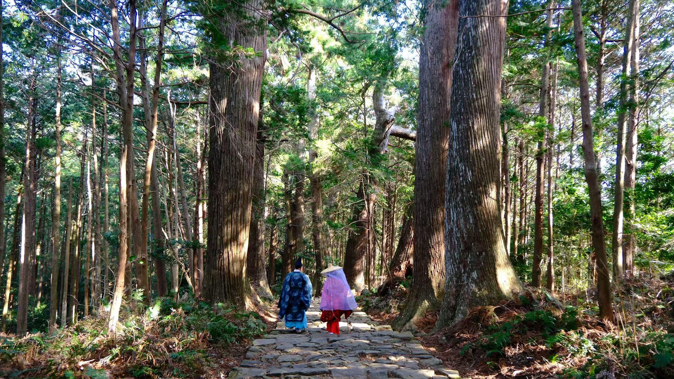 Kumano Kodo Two-Day Pilgrimage: Coastal & Forest Routes with Dual Certificate