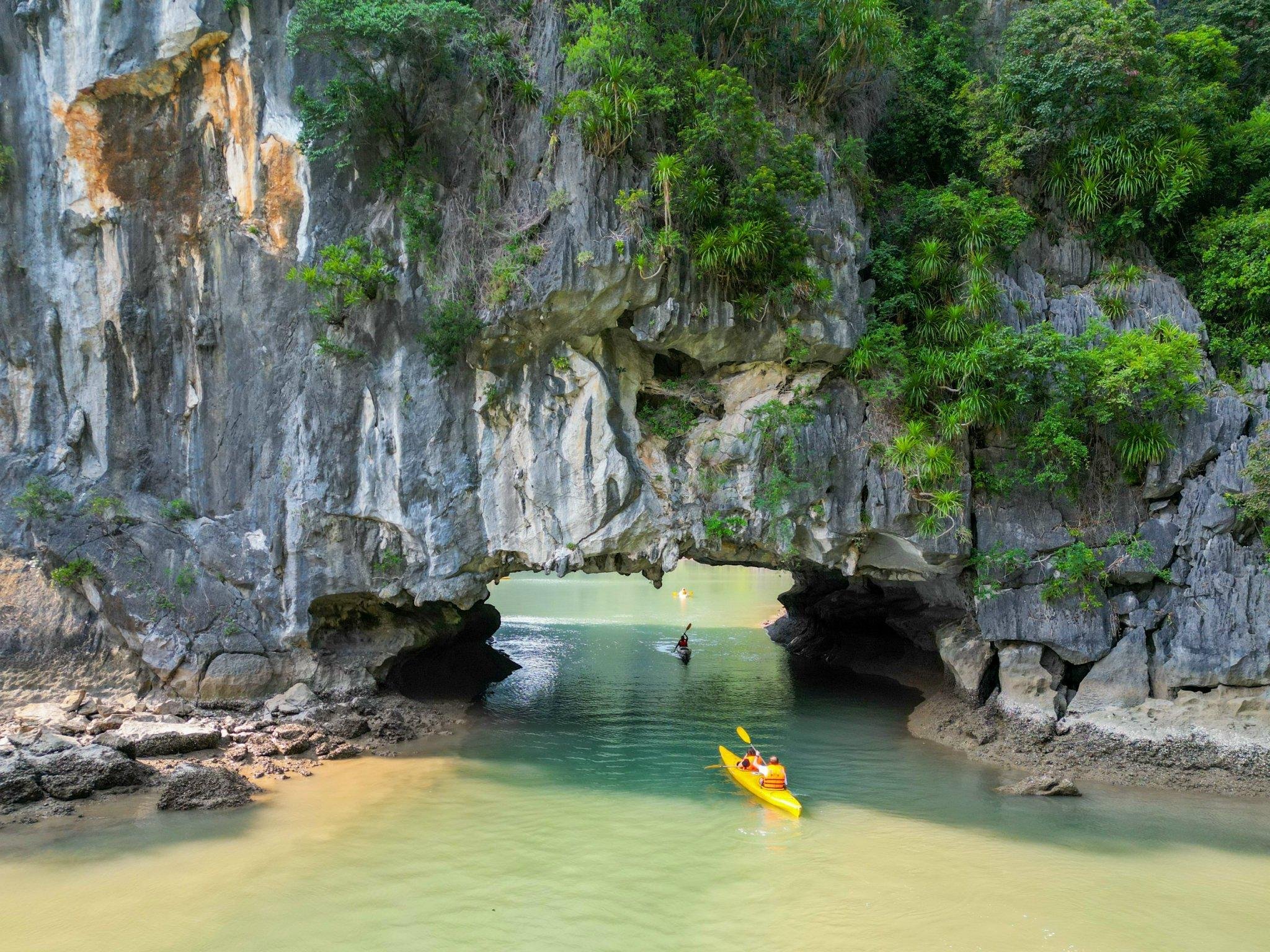 Halong Bay Day Cruise: Caves, Kayaking & Seafood Lunch