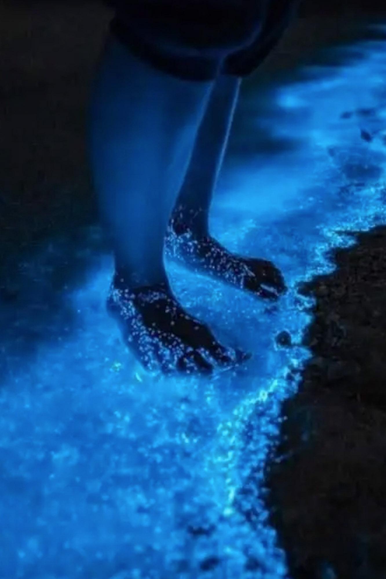 Holbox Bioluminescent Kayaking Adventure