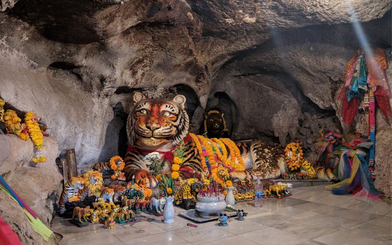 Krabi Jungle Day Tour: Hot Springs, Emerald Pool & Tiger Cave Temple