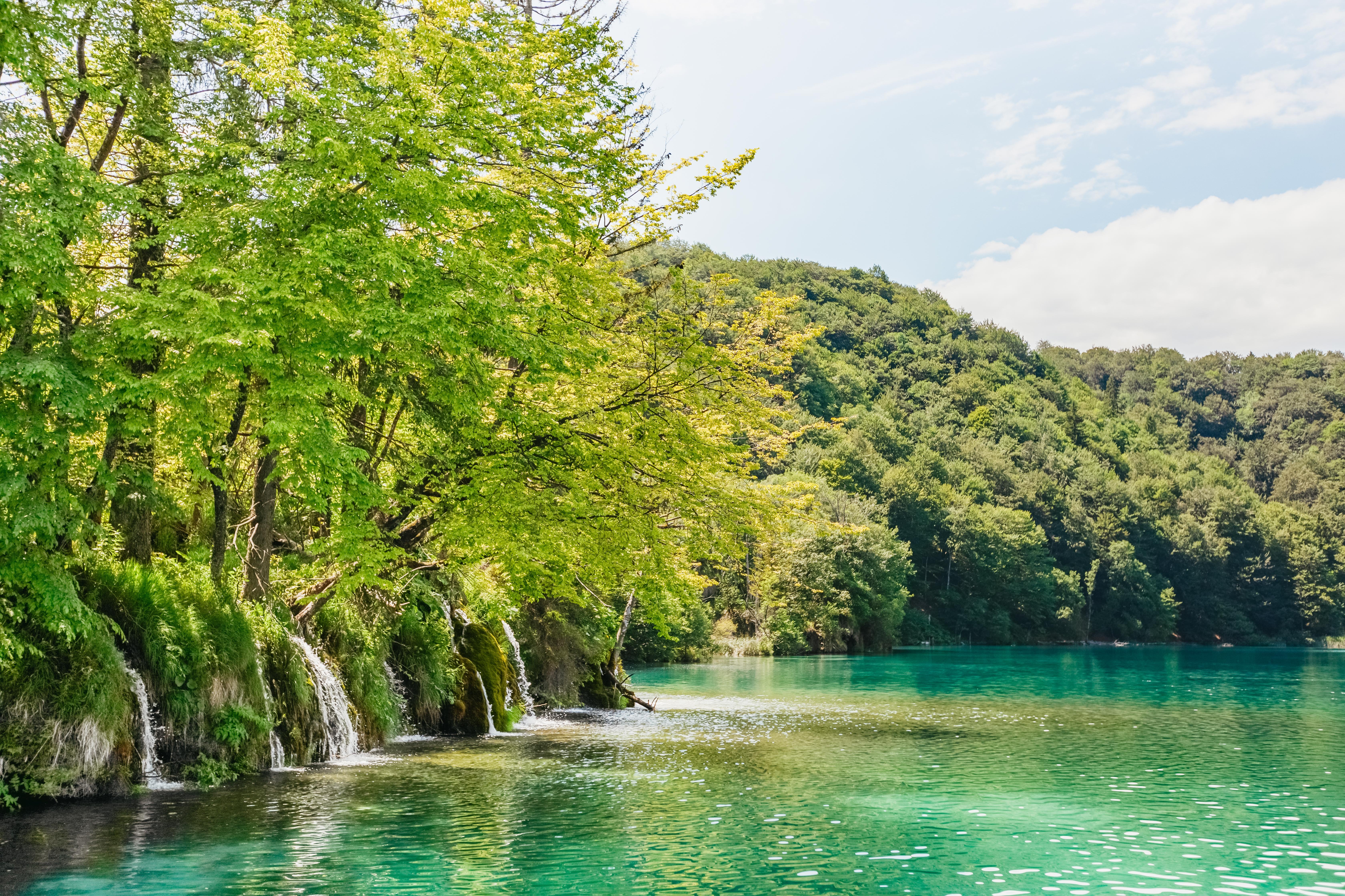 Split to Plitvice Lakes National Park Guided Day Trip