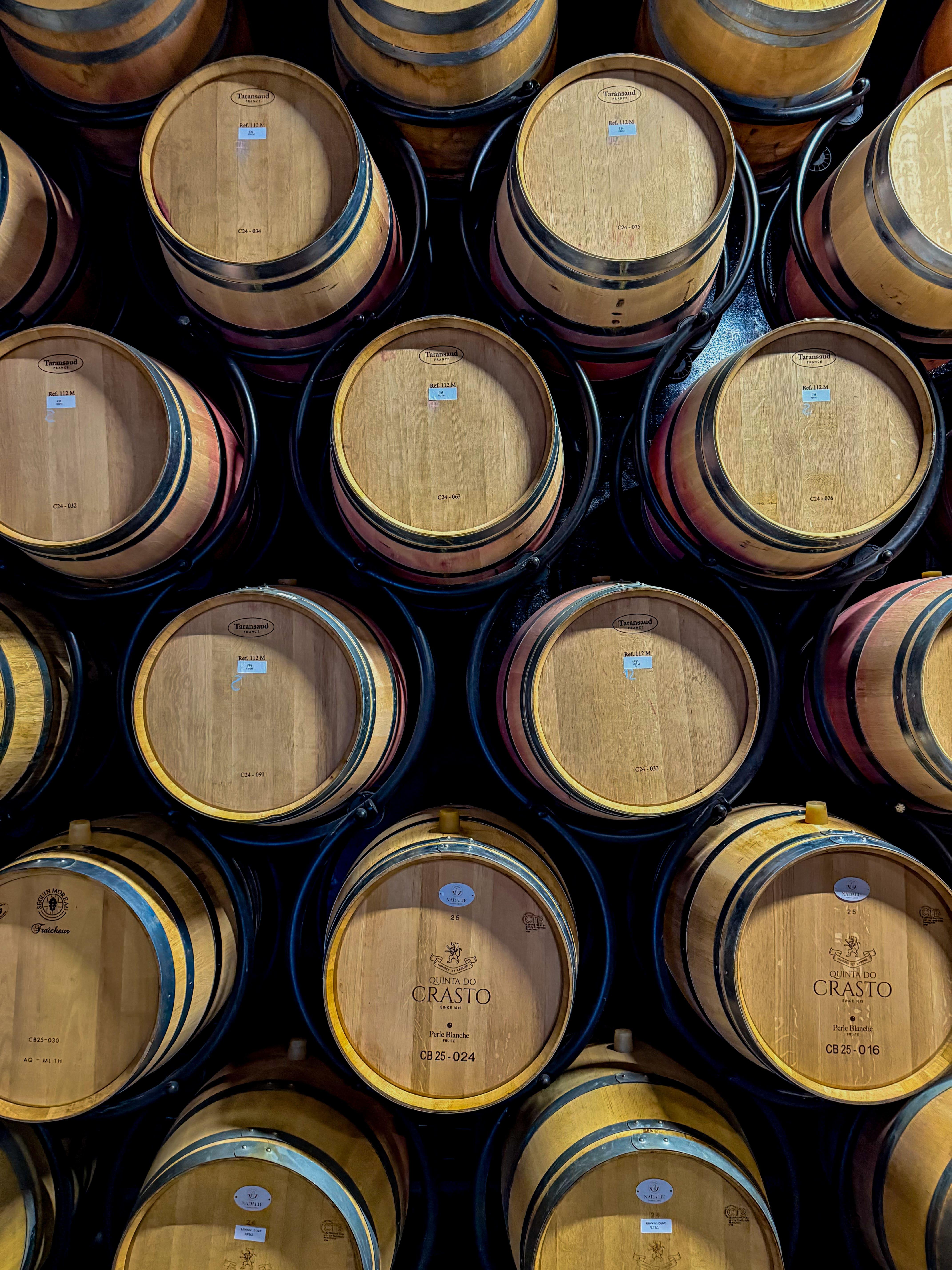 olive oil tasting in Porto — photo 15