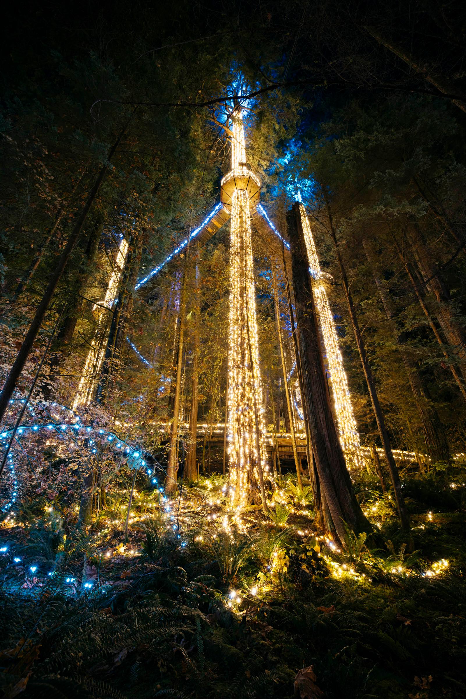 Capilano Suspension Bridge Park Entry