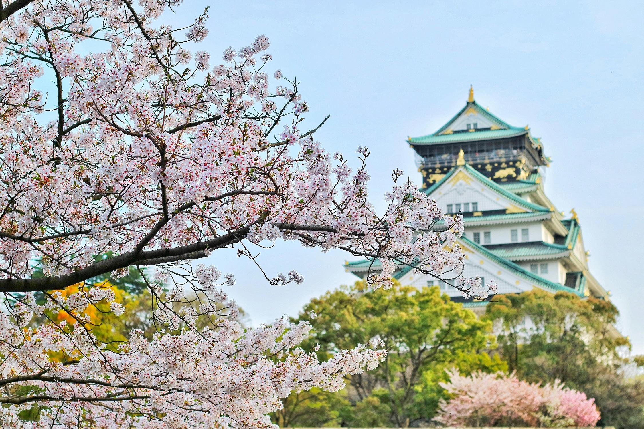 Osaka Castle & Samurai Heritage Walking Tour