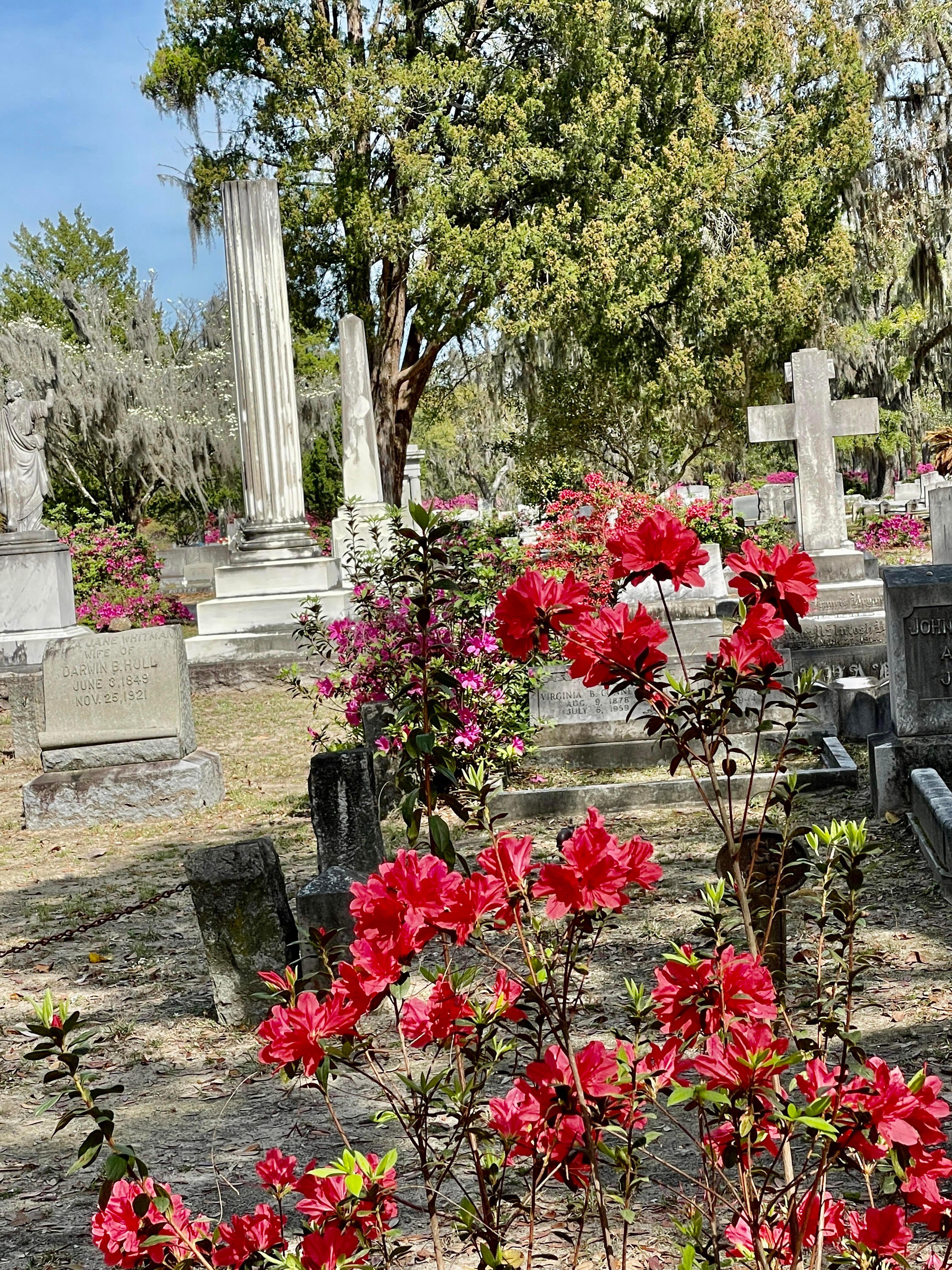 Bonaventure Cemetery Guided Golf Cart Tour