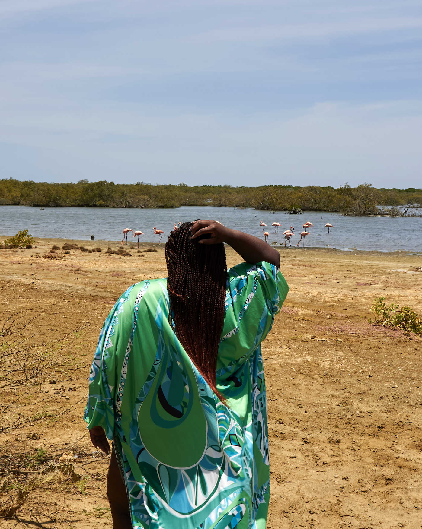 Lac Bay Mangrove Forest Guided Tour