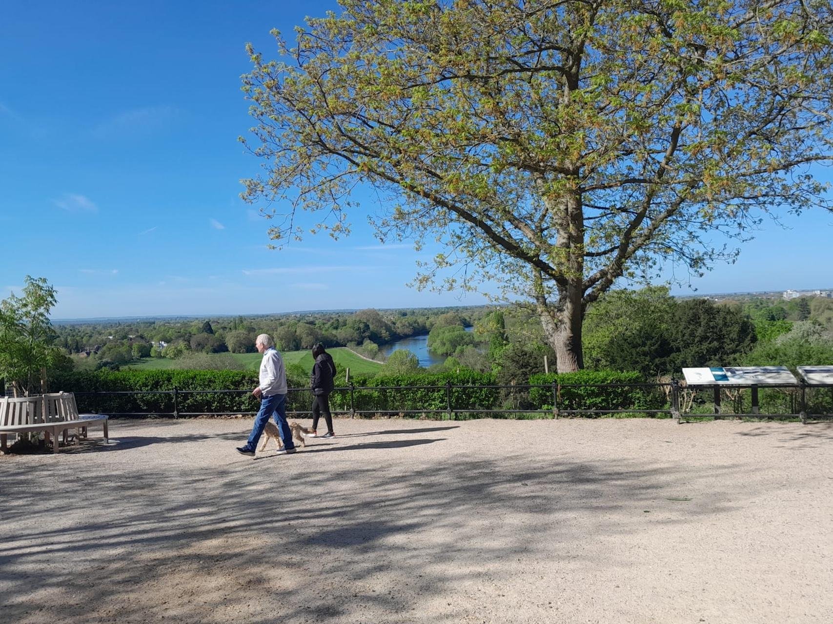 Private London: Kew Gardens, Richmond & Ted Lasso Tour
