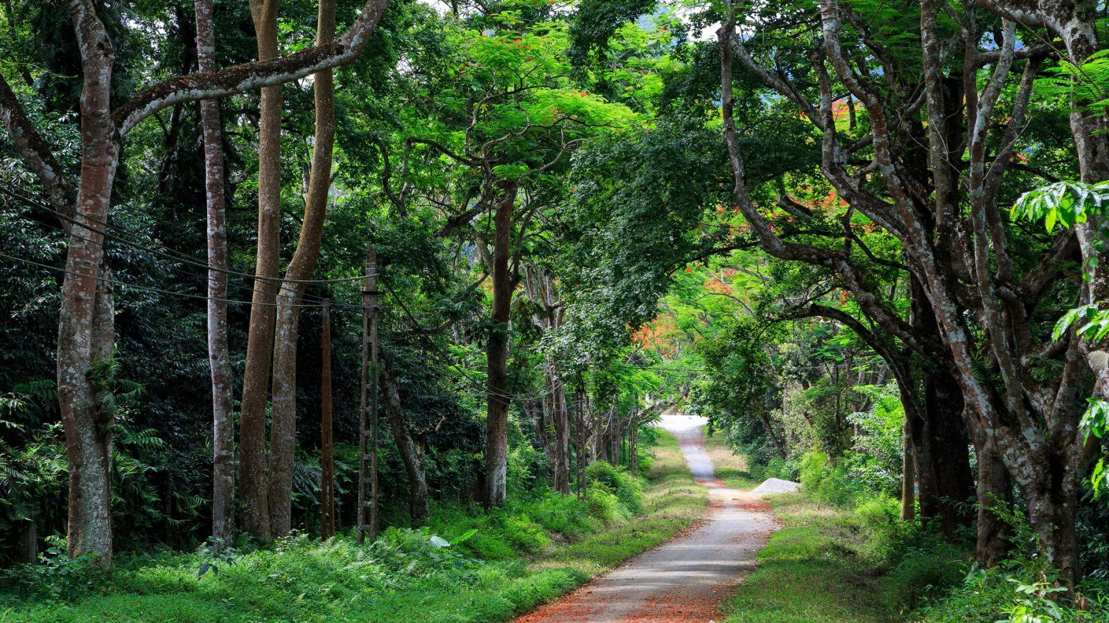 Cuc Phuong National Park & Van Long Wetlands Day Tour from Ninh Binh