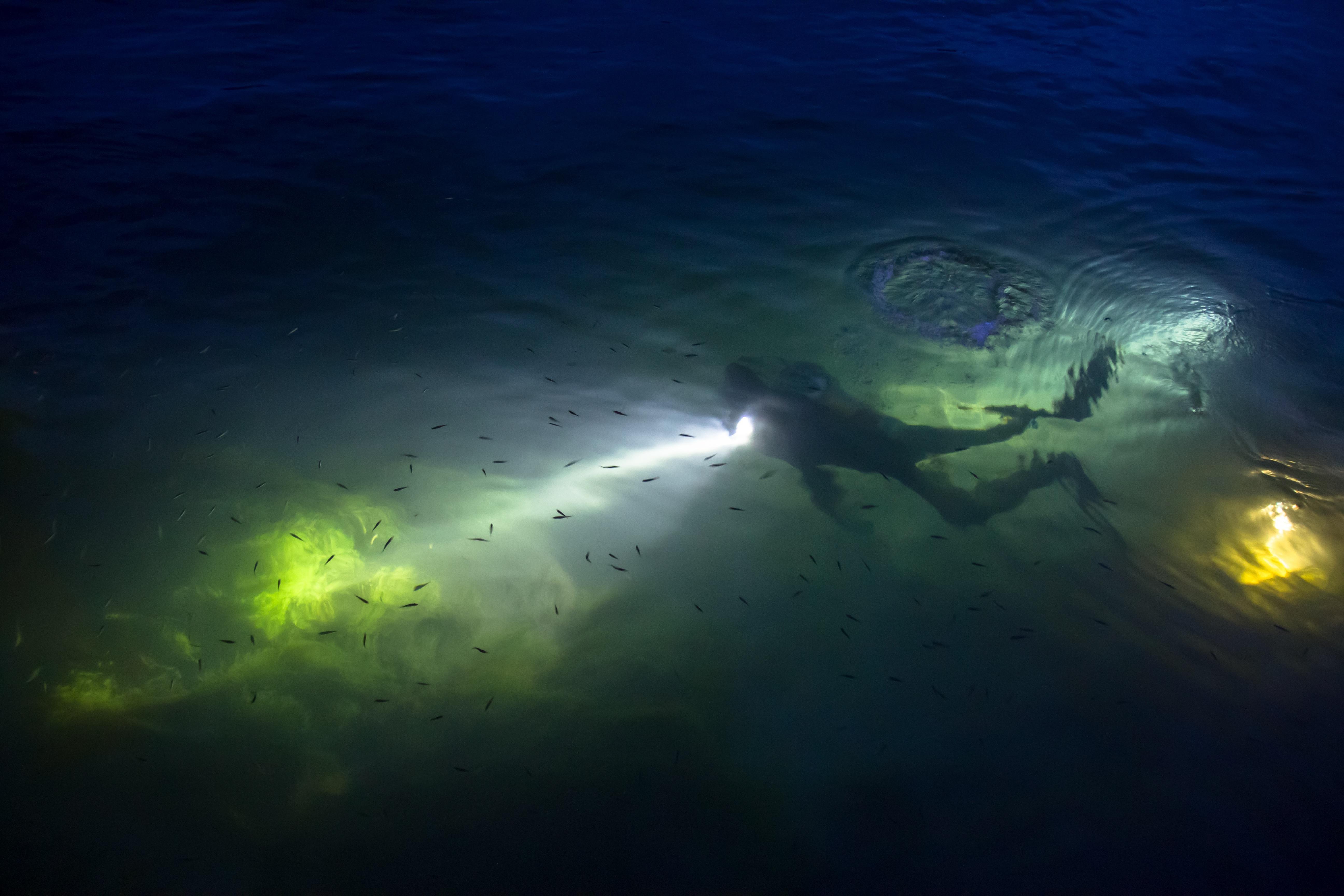 Night Snorkeling Adventure at Escambron Beach