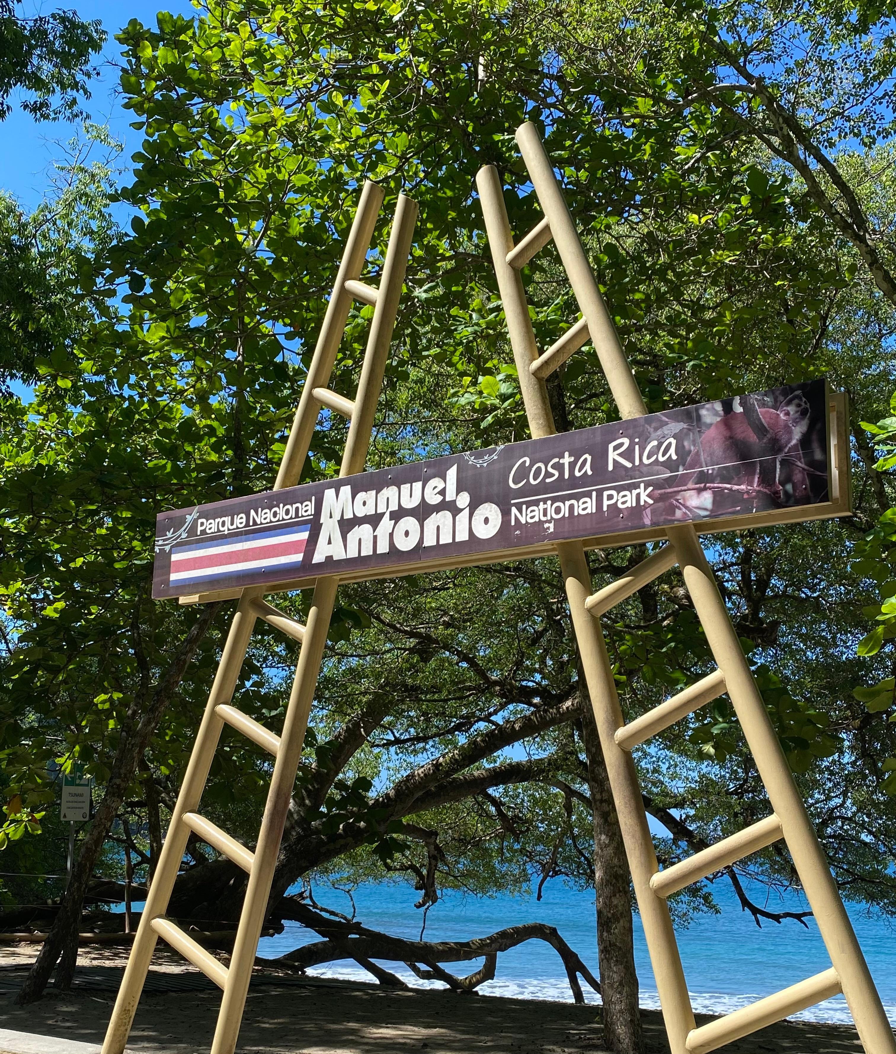 Manuel Antonio National Park: Naturalist-Led Wildlife Walking Tour