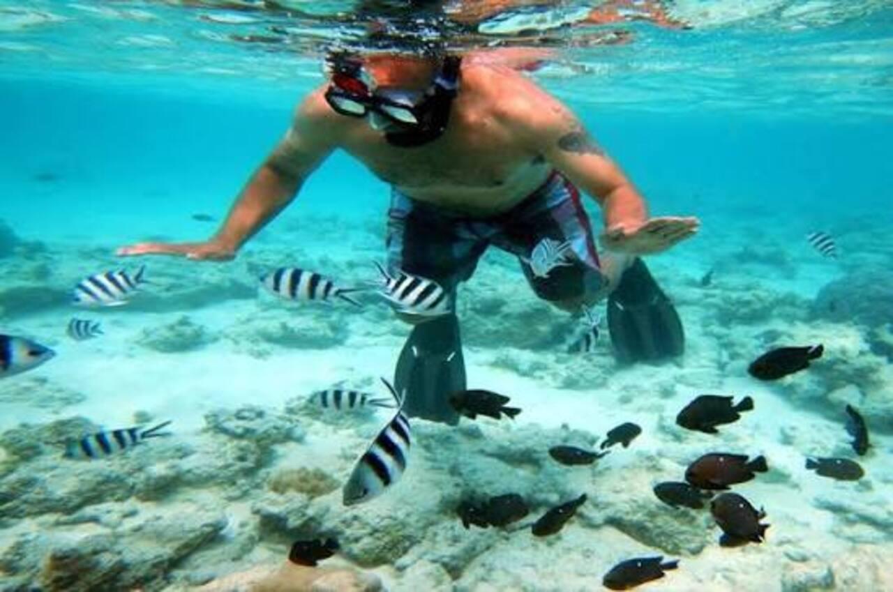 Zanzibar Blue Safari: Snorkeling, Kwale Island & Seafood BBQ