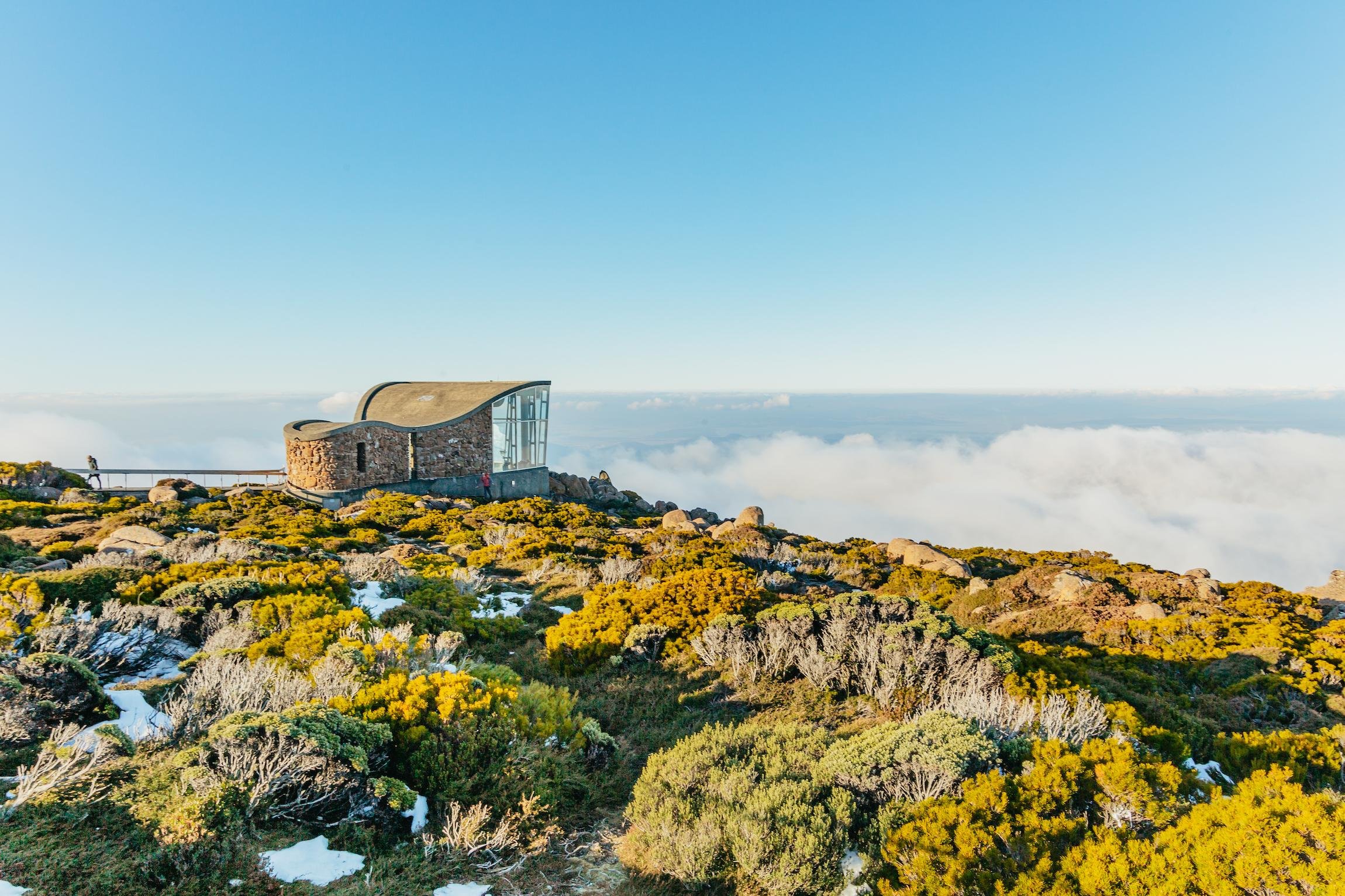 Hobart Day Trip: Mt Field, Bonorong, Richmond & Mt Wellington