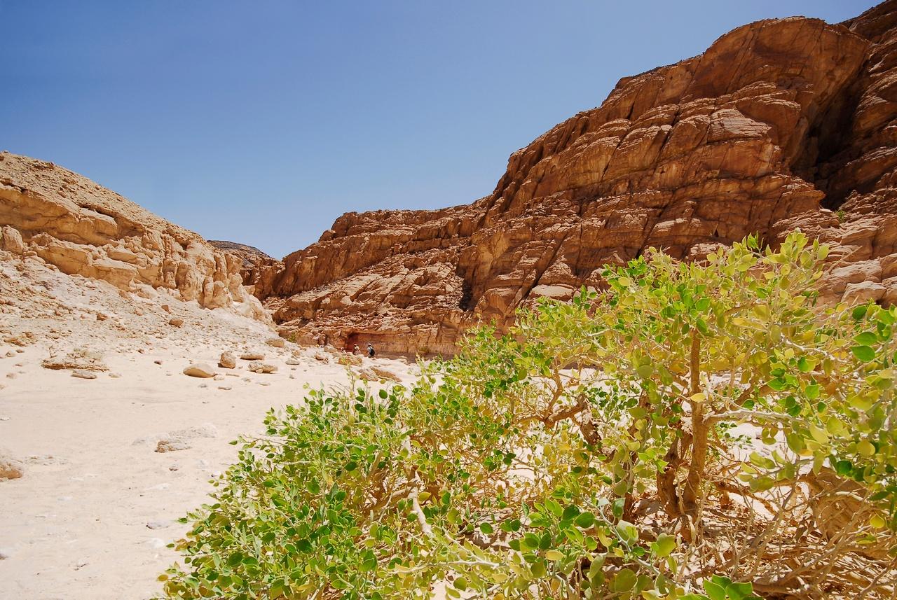 Sharm El-Sheikh: Colored Canyon, Blue Hole & Dahab Jeep Day Trip