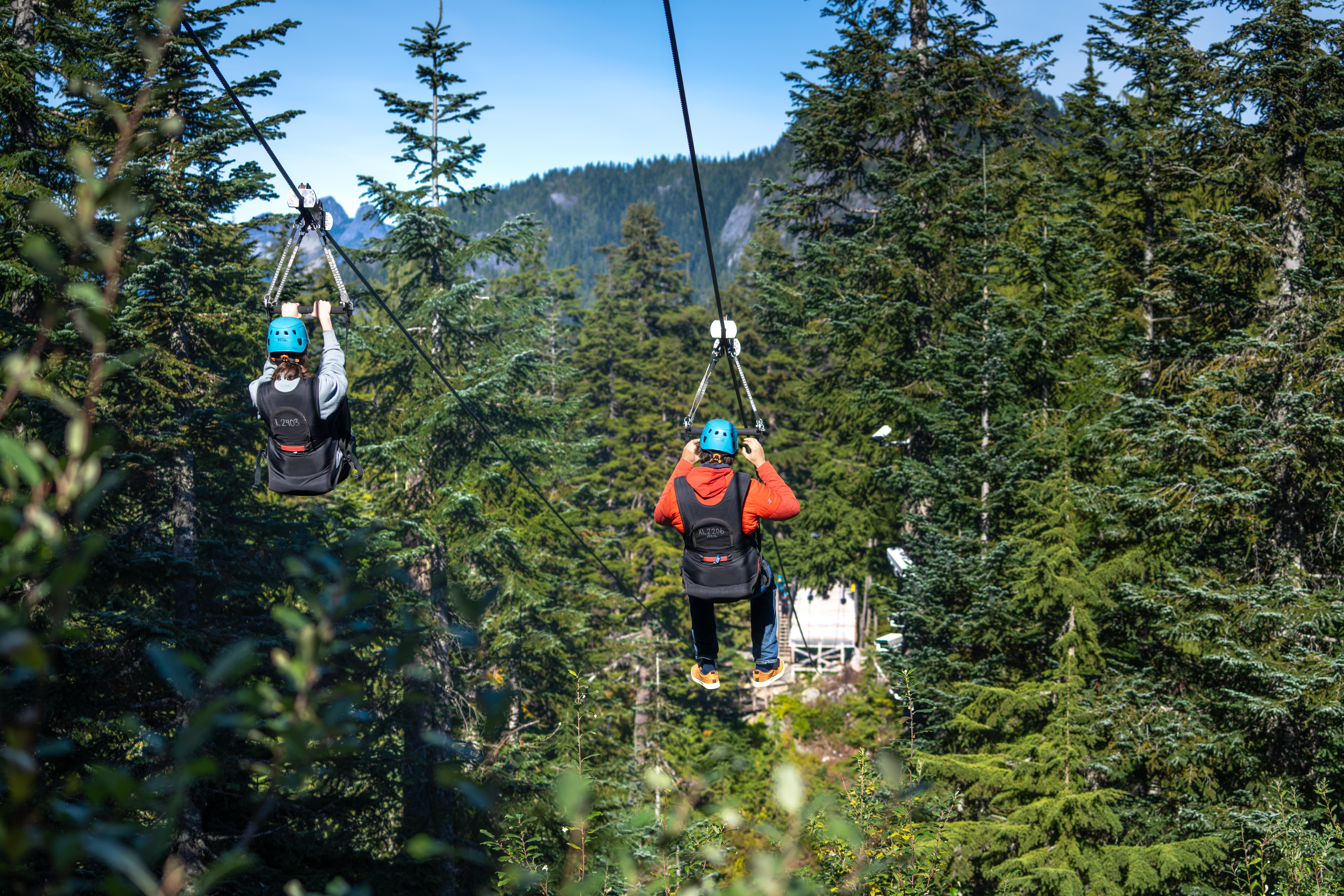 Bilhete de Admissão para o Grouse Mountain Skyride e Pico